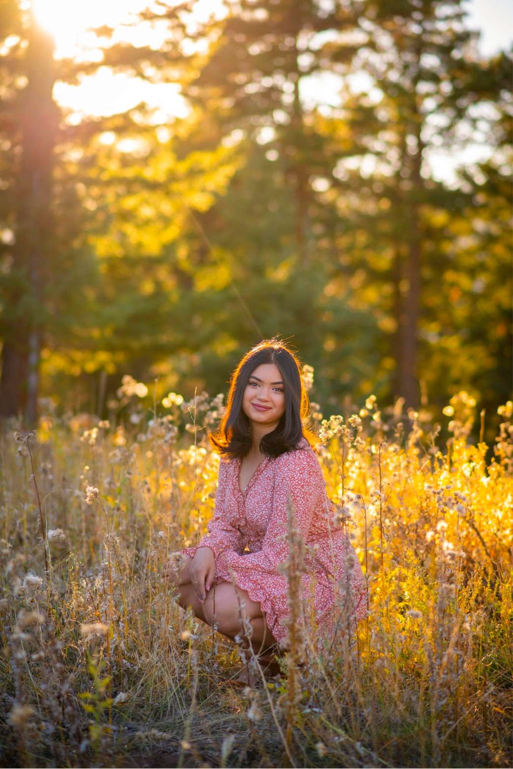 A pink-dressed figure sits in a golden wildflower meadow at sunset with sunlight streaming through pine trees.