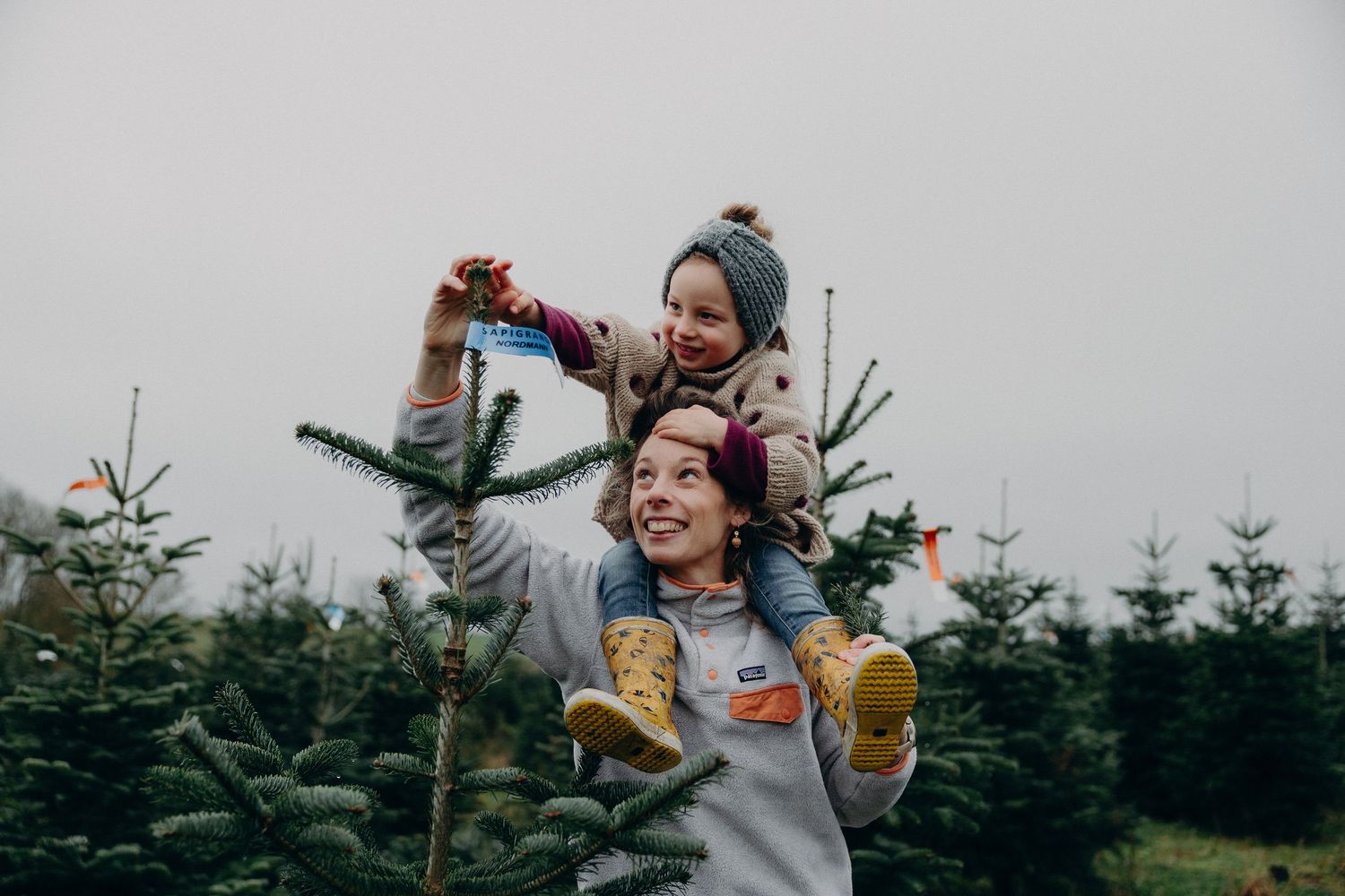 Happy mother and daughter pick Christmas trees at an outdoor holiday tree farm.
