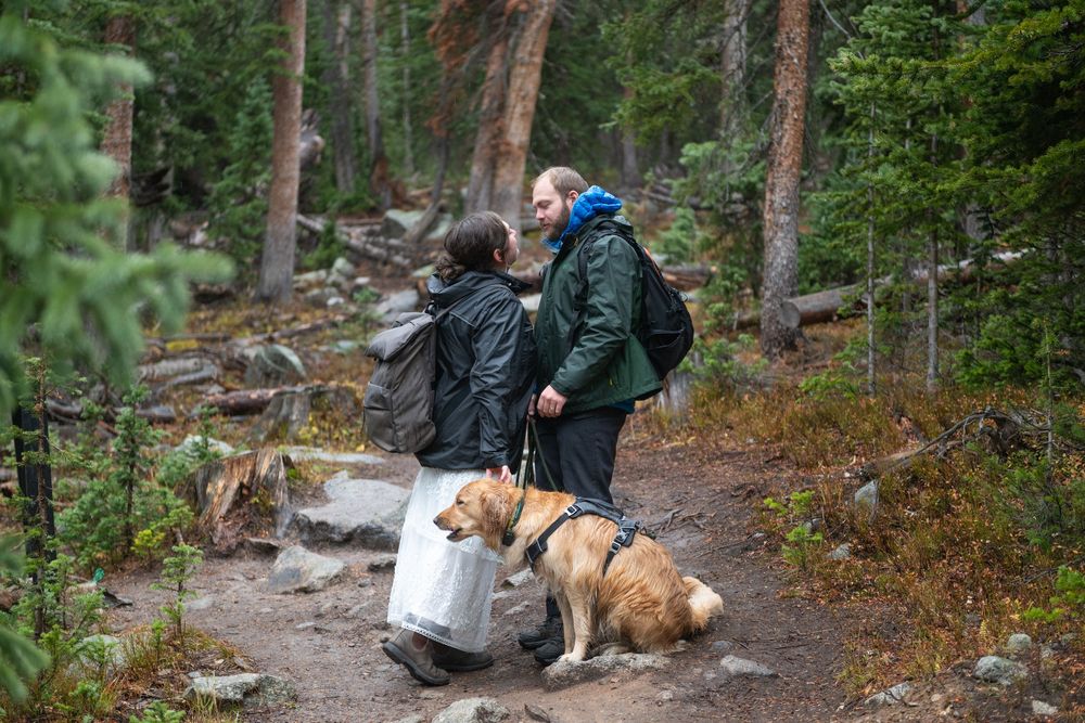 Two hikers with backpacks and a golden retriever walk along a forest trail surrounded by pine trees.