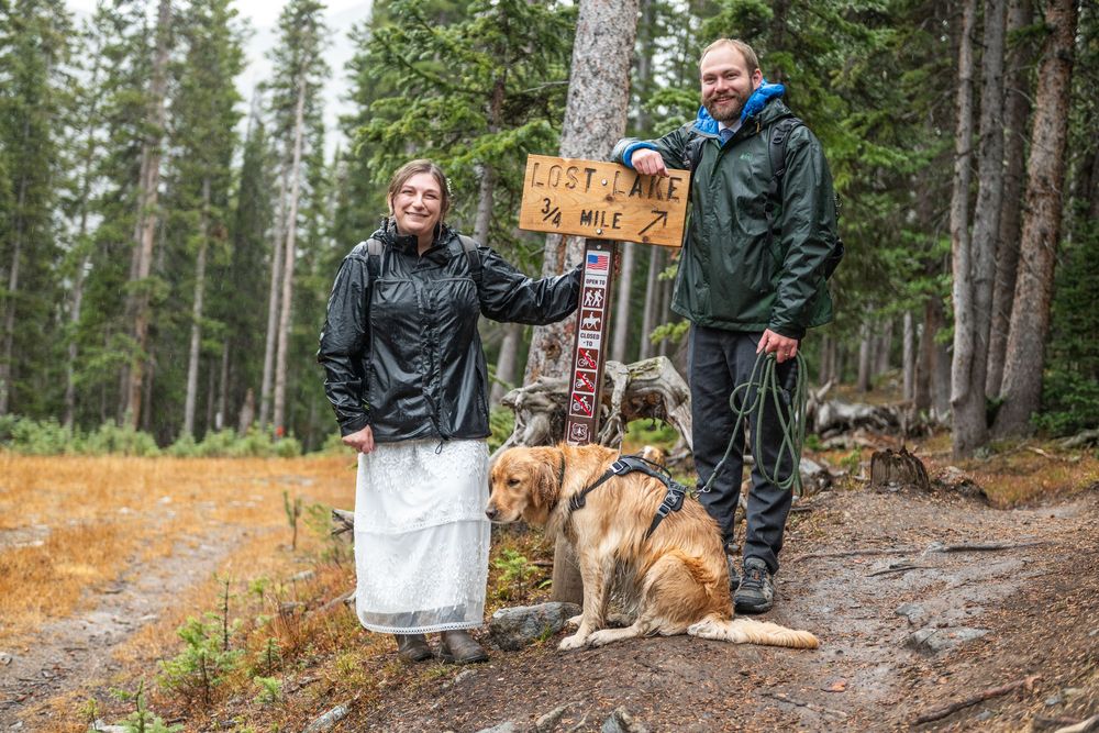 A bride and groom stand with a golden retriever dog pose by a wooden trail sign in a pine forest on a cloudy day.