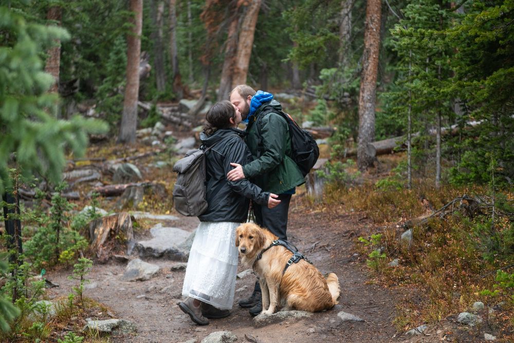 An eloping couple sharing a kiss on a forest hiking trail with a golden retriever dog, surrounded by pine trees.