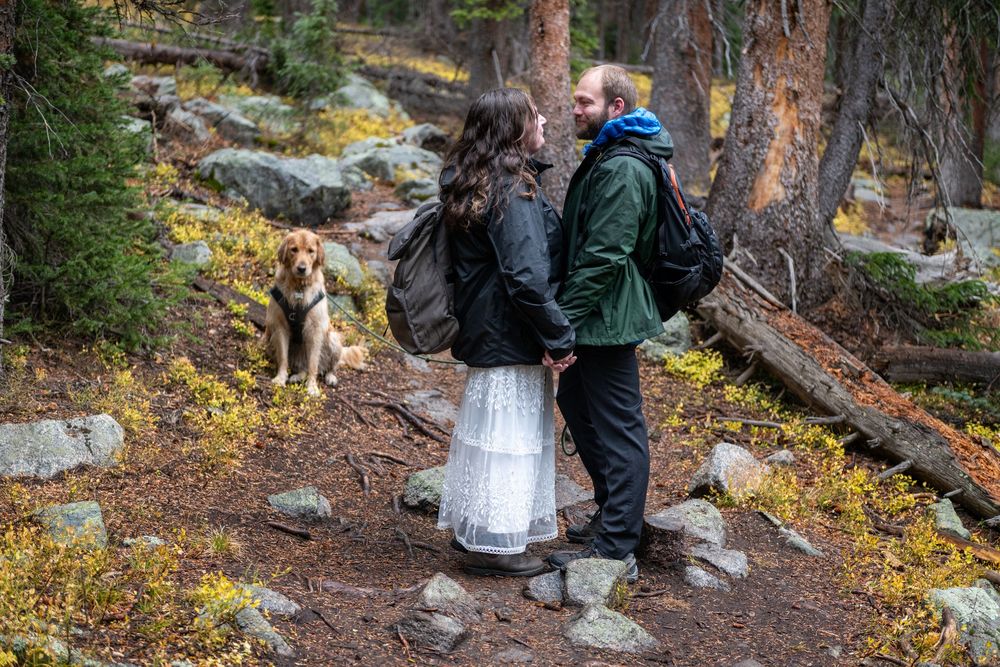 Couple in wedding attire hiking a forest trail with a golden dog sitting nearby among autumn foliage.