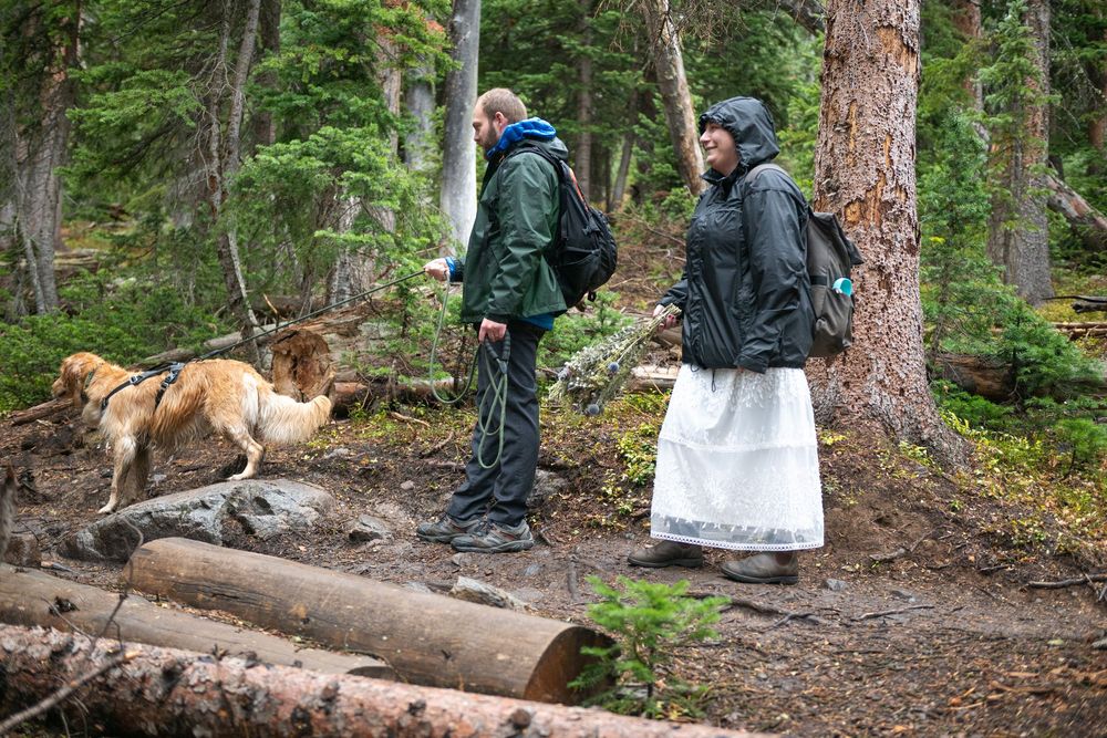 A bride and groom hike with a golden dog on a forest trail over fallen logs in rainy weather for their elopement near Breckenridge