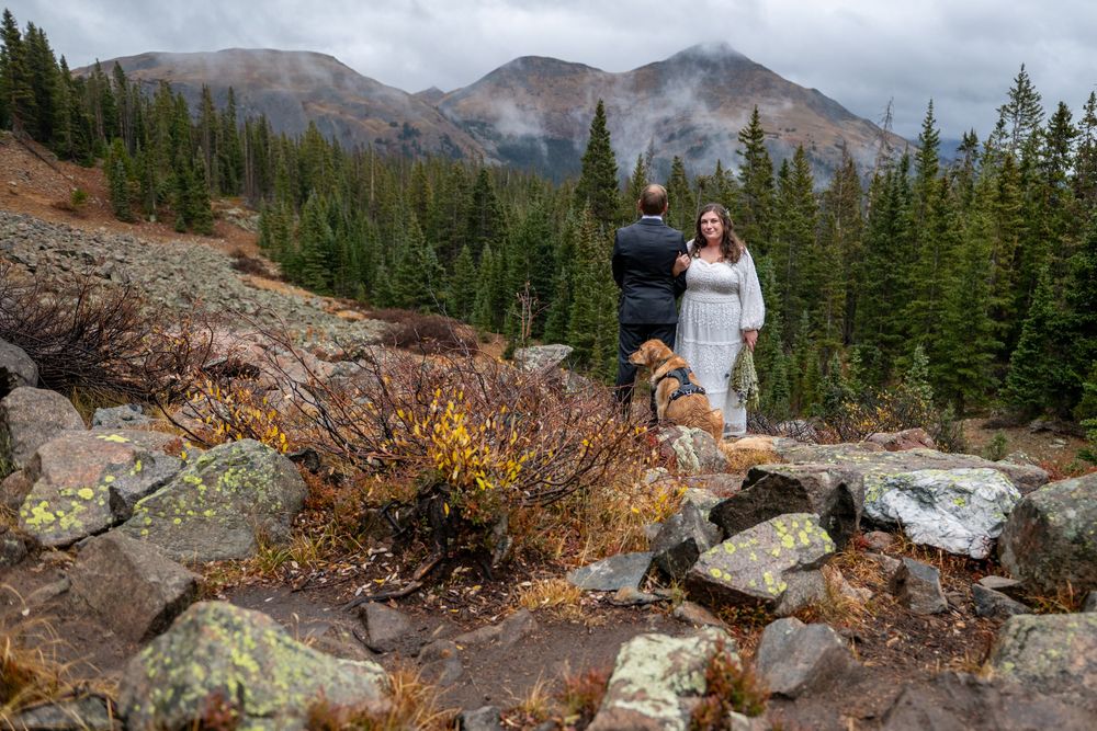 A couple in wedding attire eloping in wilderness with dog, evergreen forest and misty peaks backdrop.