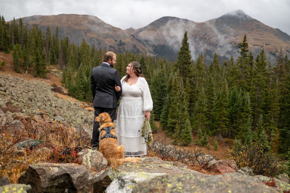 An eloping couple in wedding attire stands on rocky mountain overlook with golden retriever, surrounded by evergreen trees and misty peaks.