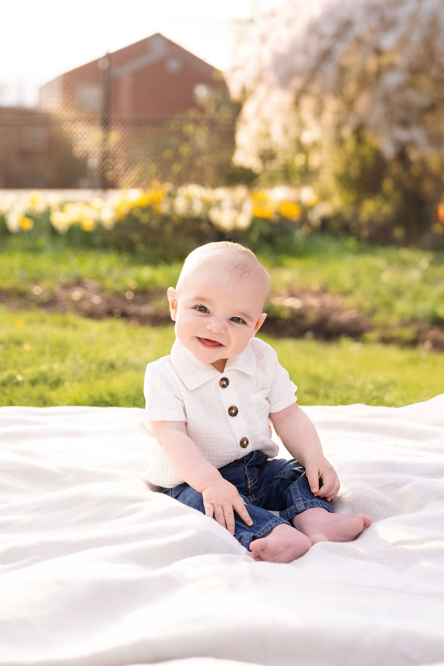 A baby wearing a white button-up shirt and jeans sits on a white blanket in a sunny garden with daffodils in the background.
