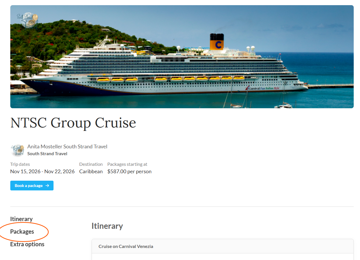 Luxury cruise ship sailing in bright blue Caribbean waters with tropical island coastline visible in background.