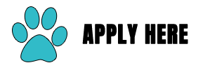 A blue paw print icon with black text reading 'APPLY HERE' against a white background.