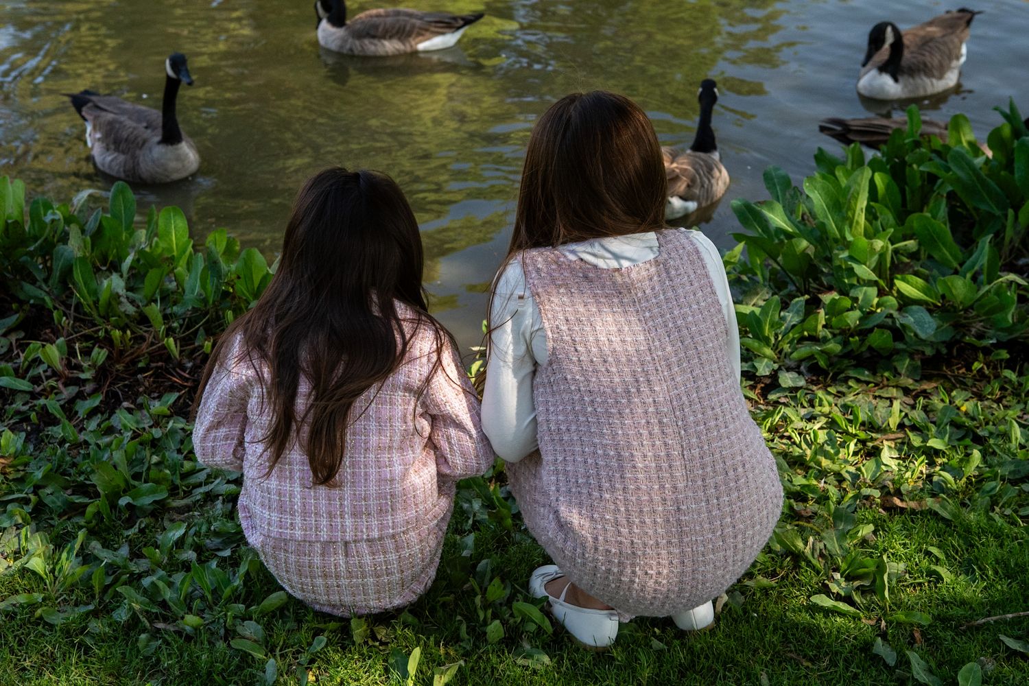 Two people in pink sweaters sit by a pond watching geese and ducks swim in the water.