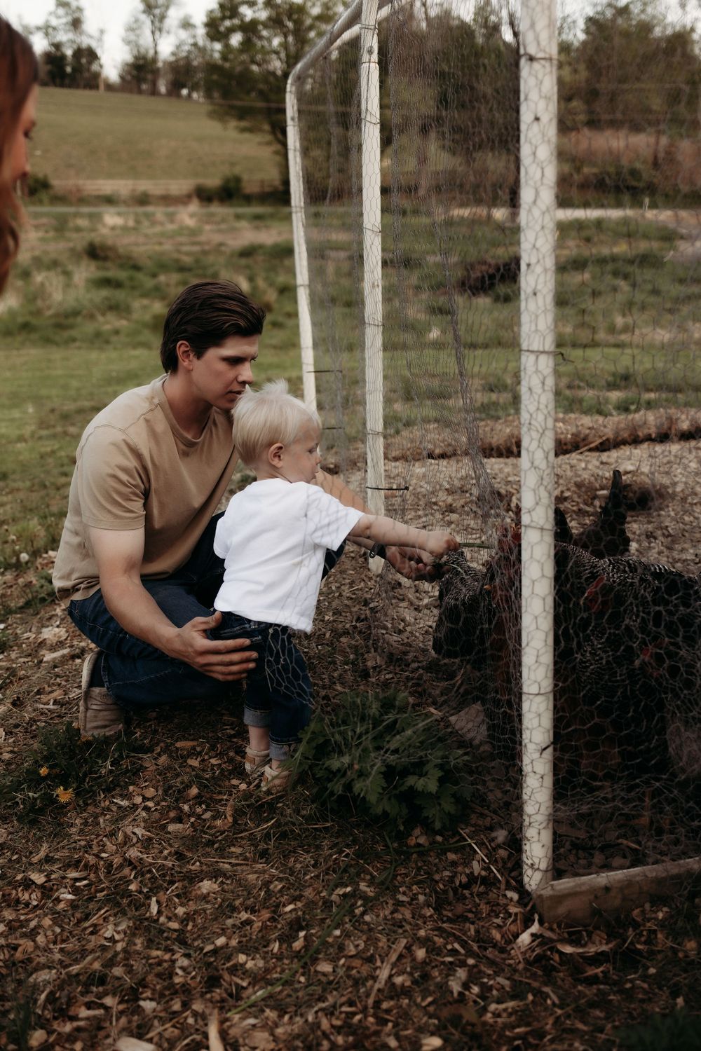 Father crouches with toddler feeding animals through wire fence on a farm.