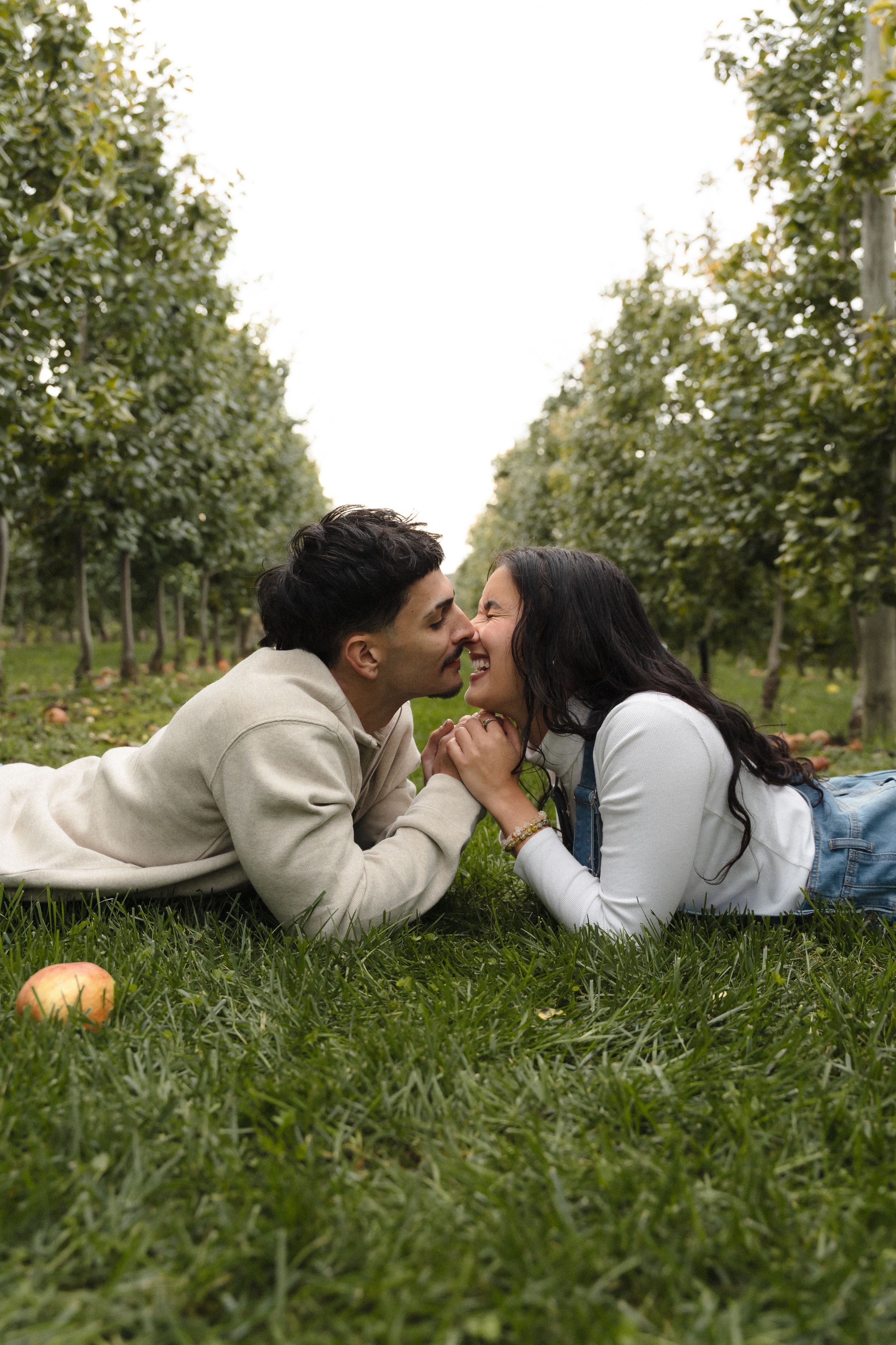 Couple lying on the grass in an orchard, holding hands and sharing a kiss, with a fallen apple nearby and rows of fruit trees behind.