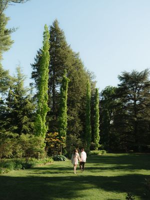 Couple walking hand in hand through a lush green garden with tall cypress trees under a clear blue sky.