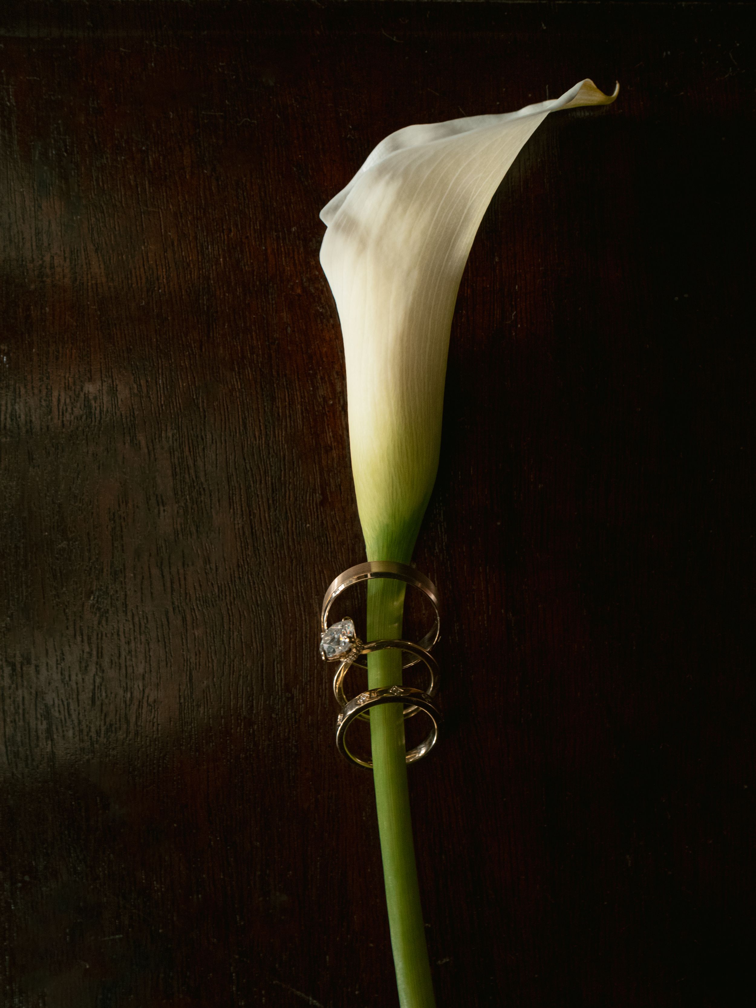 Wedding rings stacked on a white calla lily stem against a dark wood background.