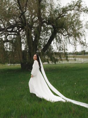 Bride in a flowing white long-sleeve wedding gown with cathedral veil poses by a willow tree on a green lawn.