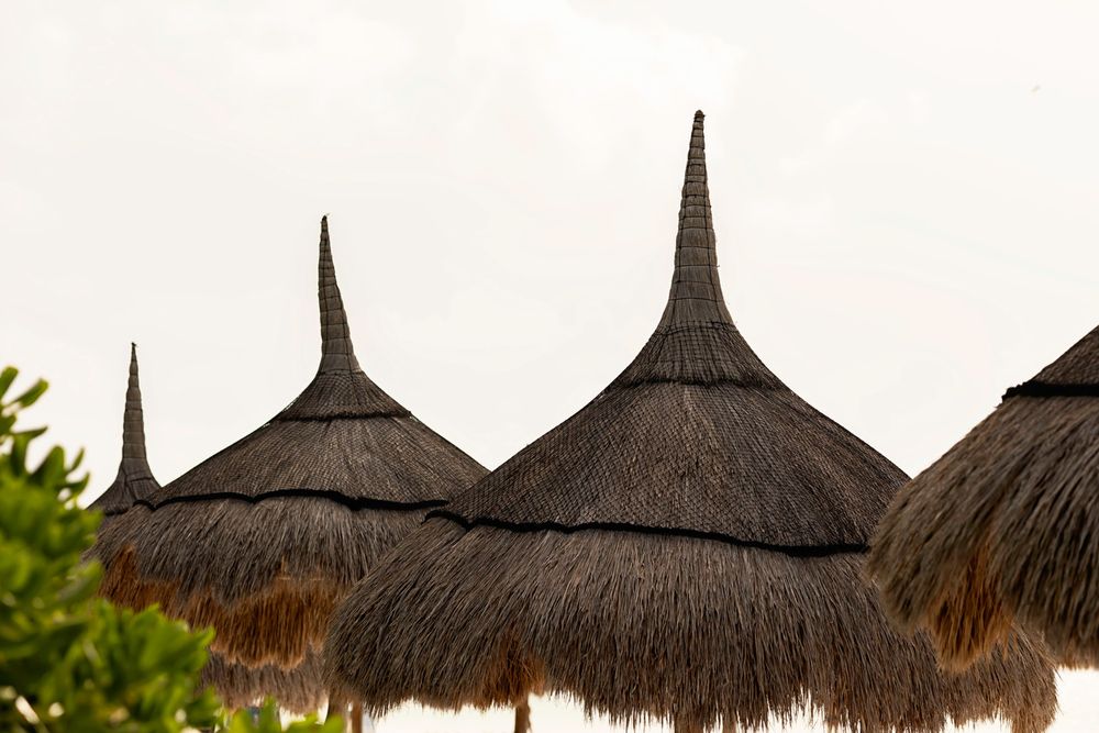 Row of thatched straw beach umbrellas with pointed tops against an overcast sky at a tropical resort.