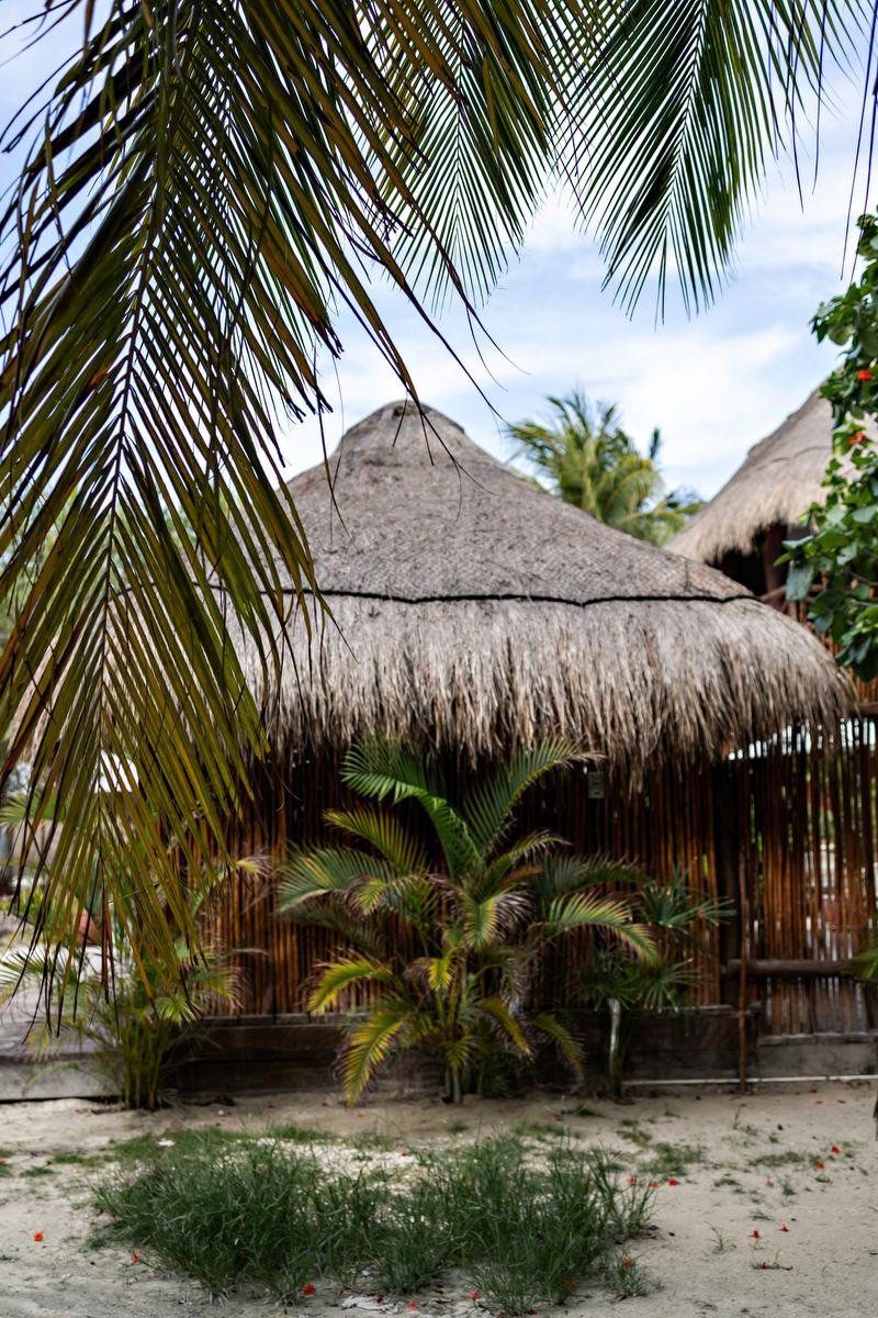 Tropical thatched-roof hut surrounded by lush palm trees on sandy beach, showcasing traditional bamboo architecture in a serene paradise.