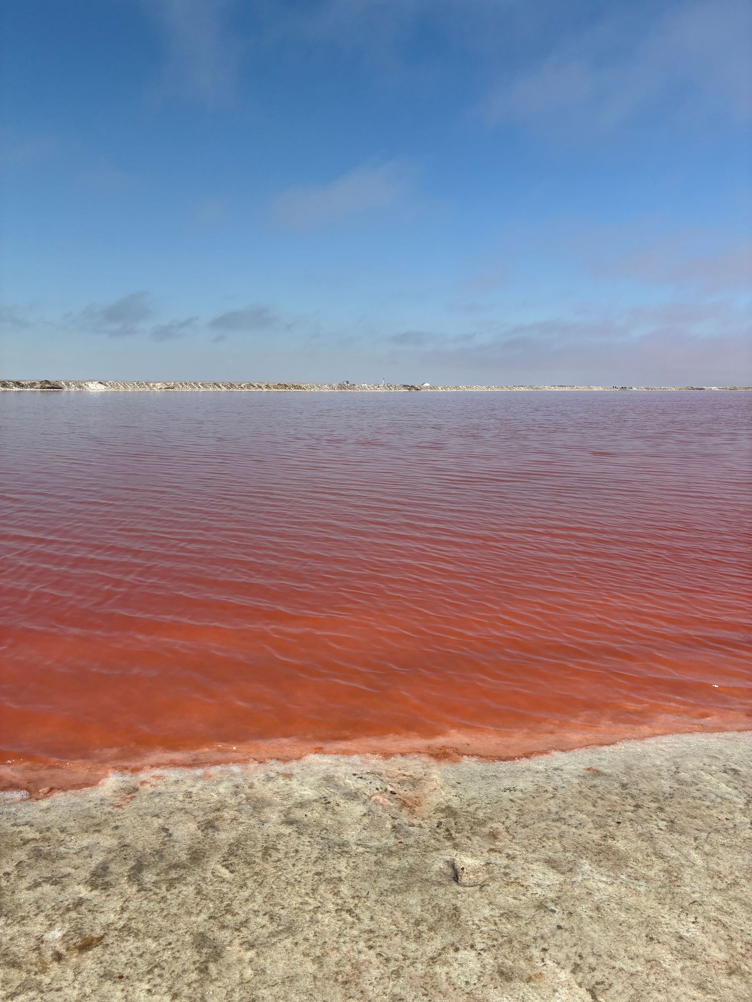 exploitation de sel rose à walvis bay