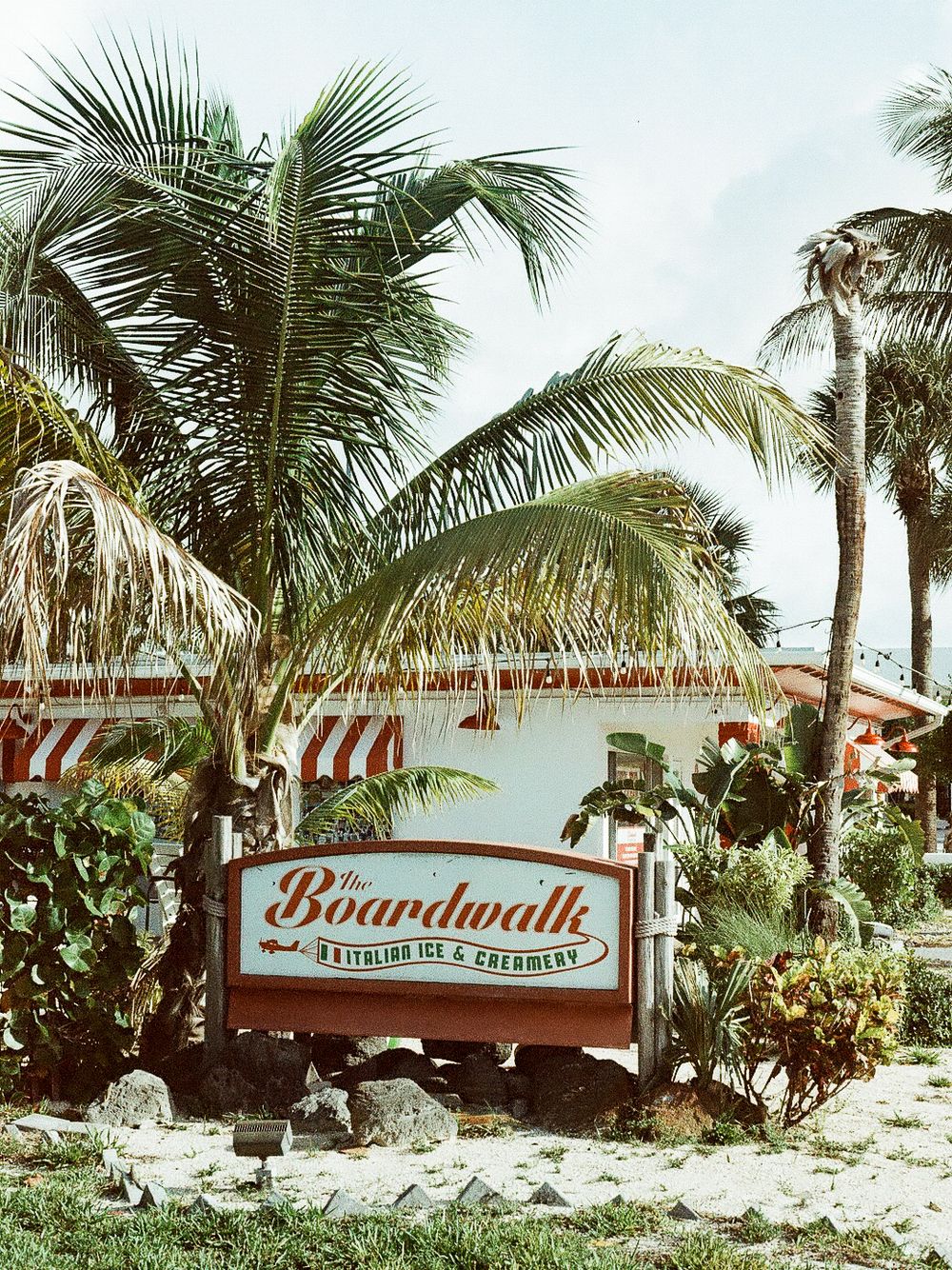 The Boardwalk Italian Ice and Creamery sign surrounded by tropical palm trees in Florida.