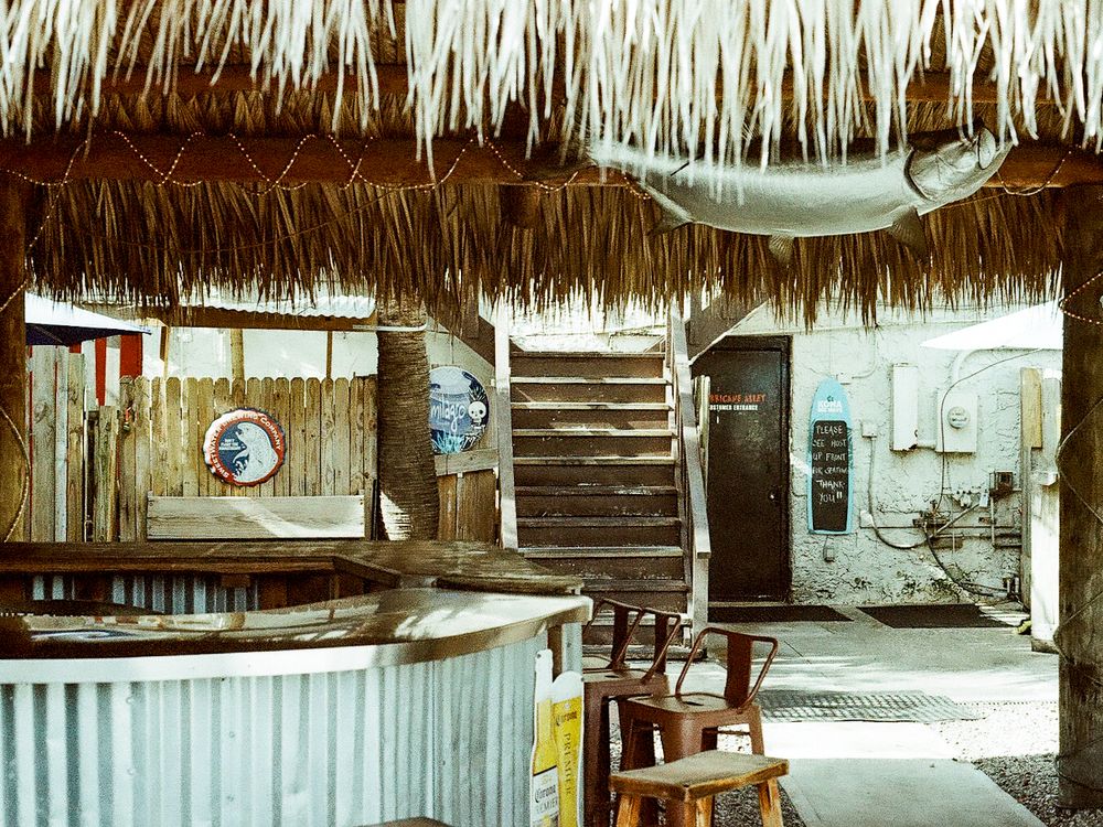 Rustic tiki bar interior with thatched roof, wooden chairs, and decorative fish hanging from ceiling.