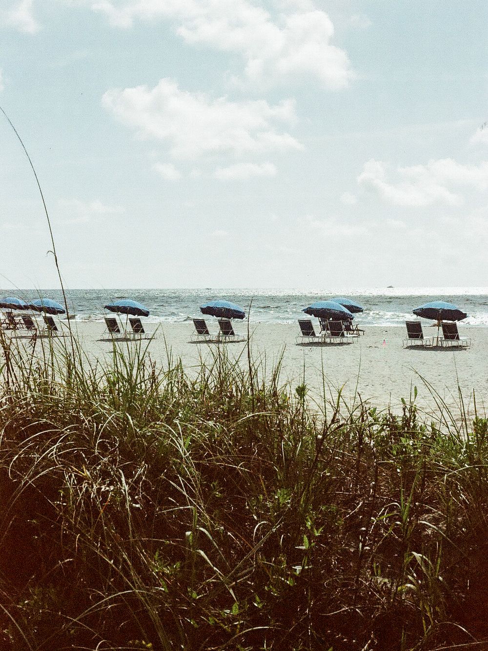 Beach scene with blue umbrellas and lounge chairs by the ocean, framed by lush sea grass under a partly cloudy sky.