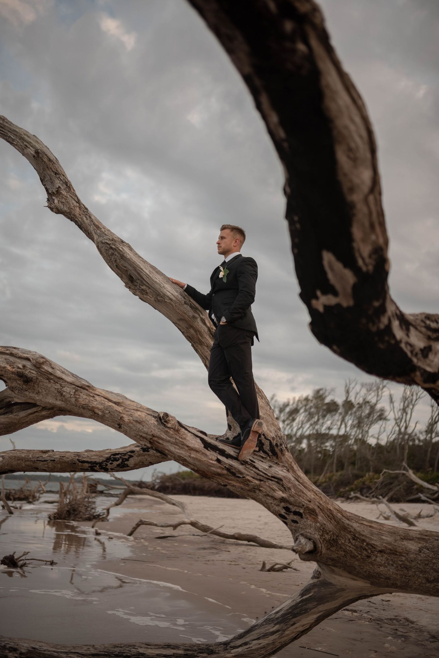 A groom in a black suit stands barefoot on driftwood at a beach, framed by twisted branches under a cloudy sky.