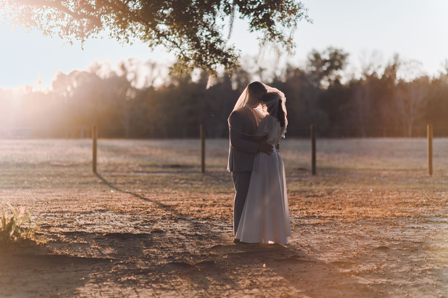A couple shares a romantic embrace at golden hour in an open field, bathed in warm sunlight with trees in the background.