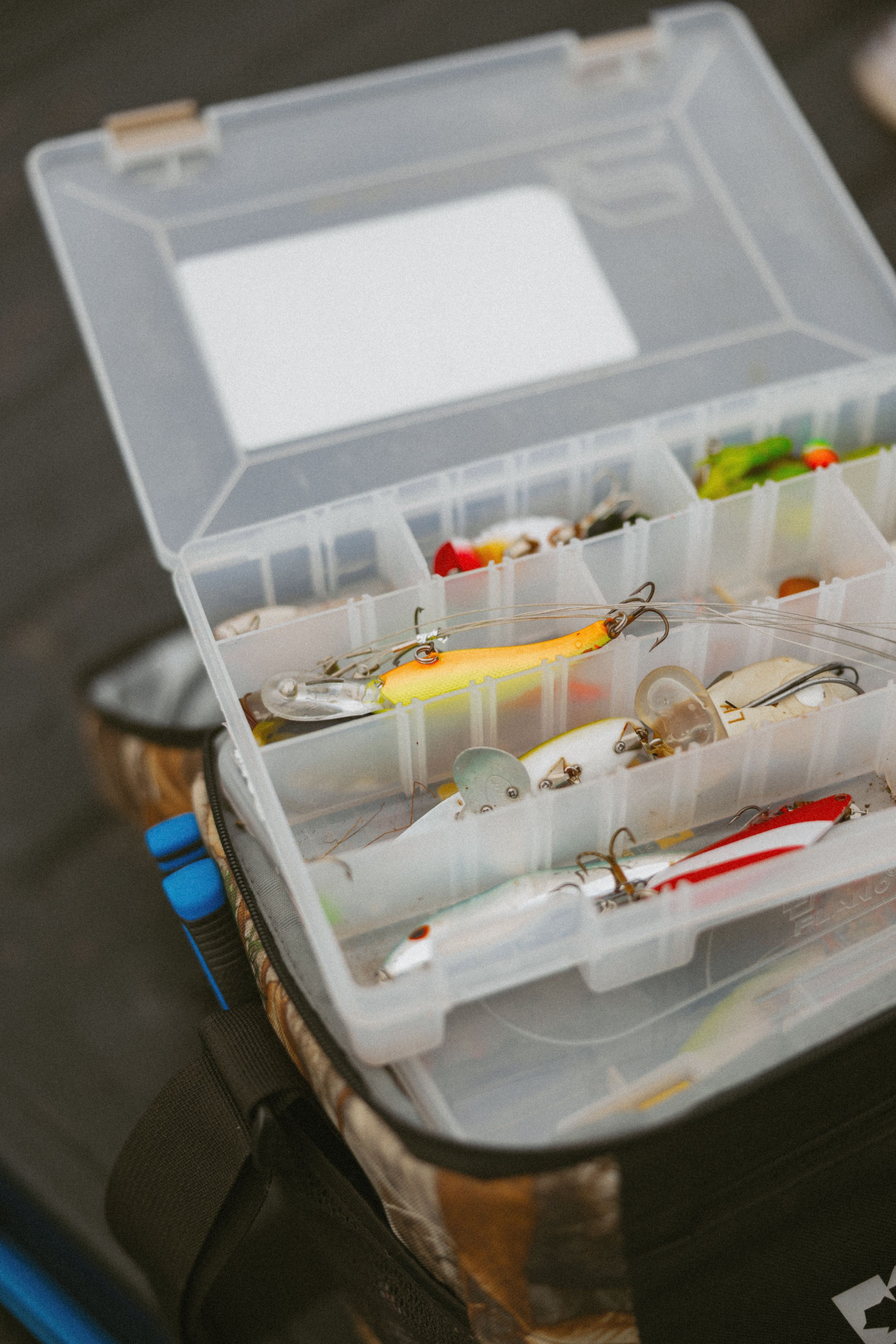 Clear plastic tackle box filled with colorful fishing lures and hooks, organized in compartments for easy access.
