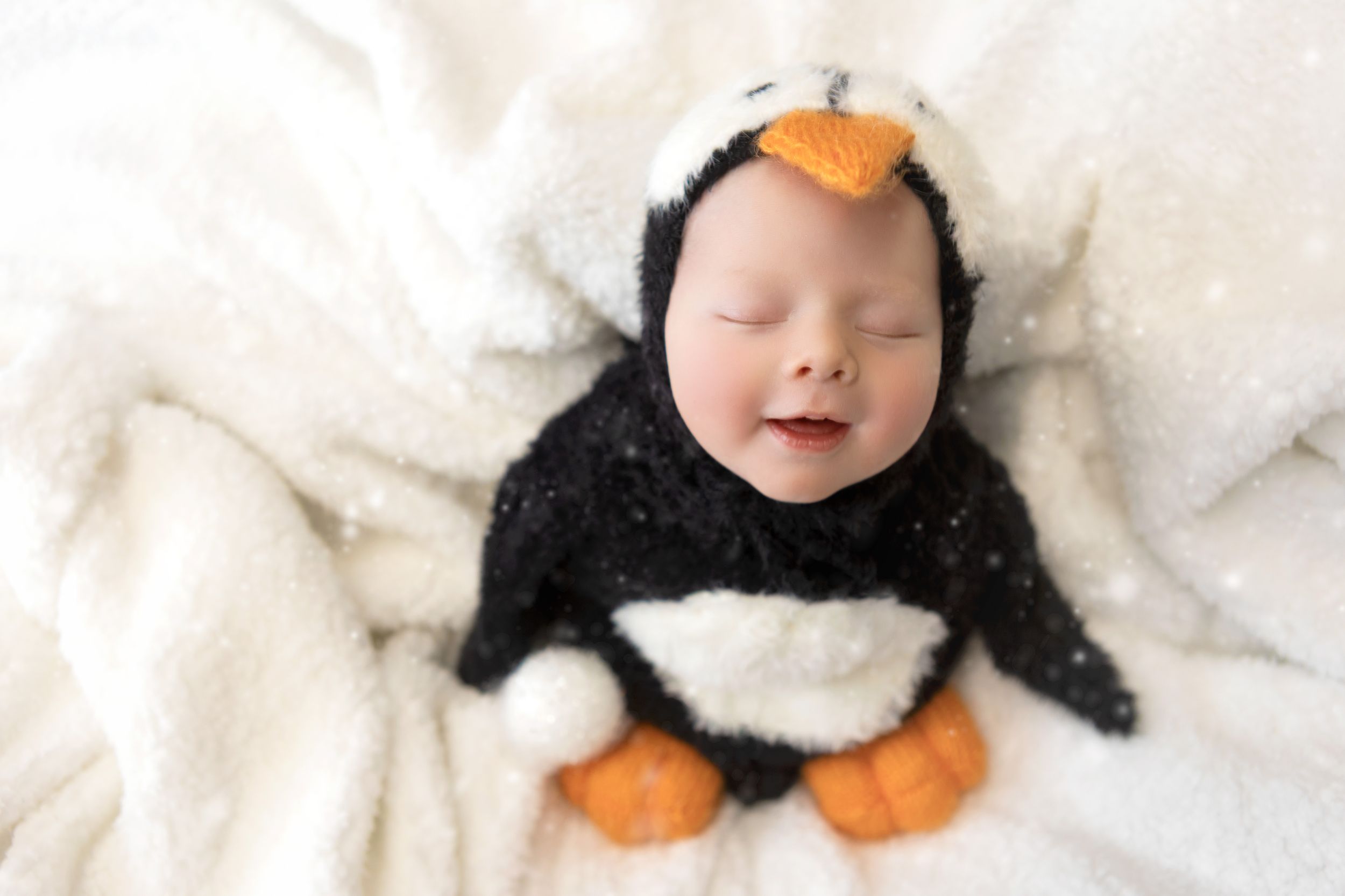 York pa newborn photographer, penguin, studio newborn photos
