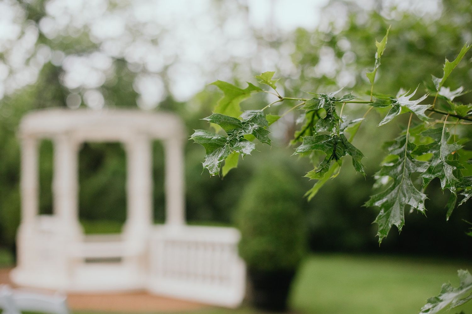 A branch dripping with rain in the foreground, the Larimore Wedding Venue Marble Gazebo out of focus in the background.