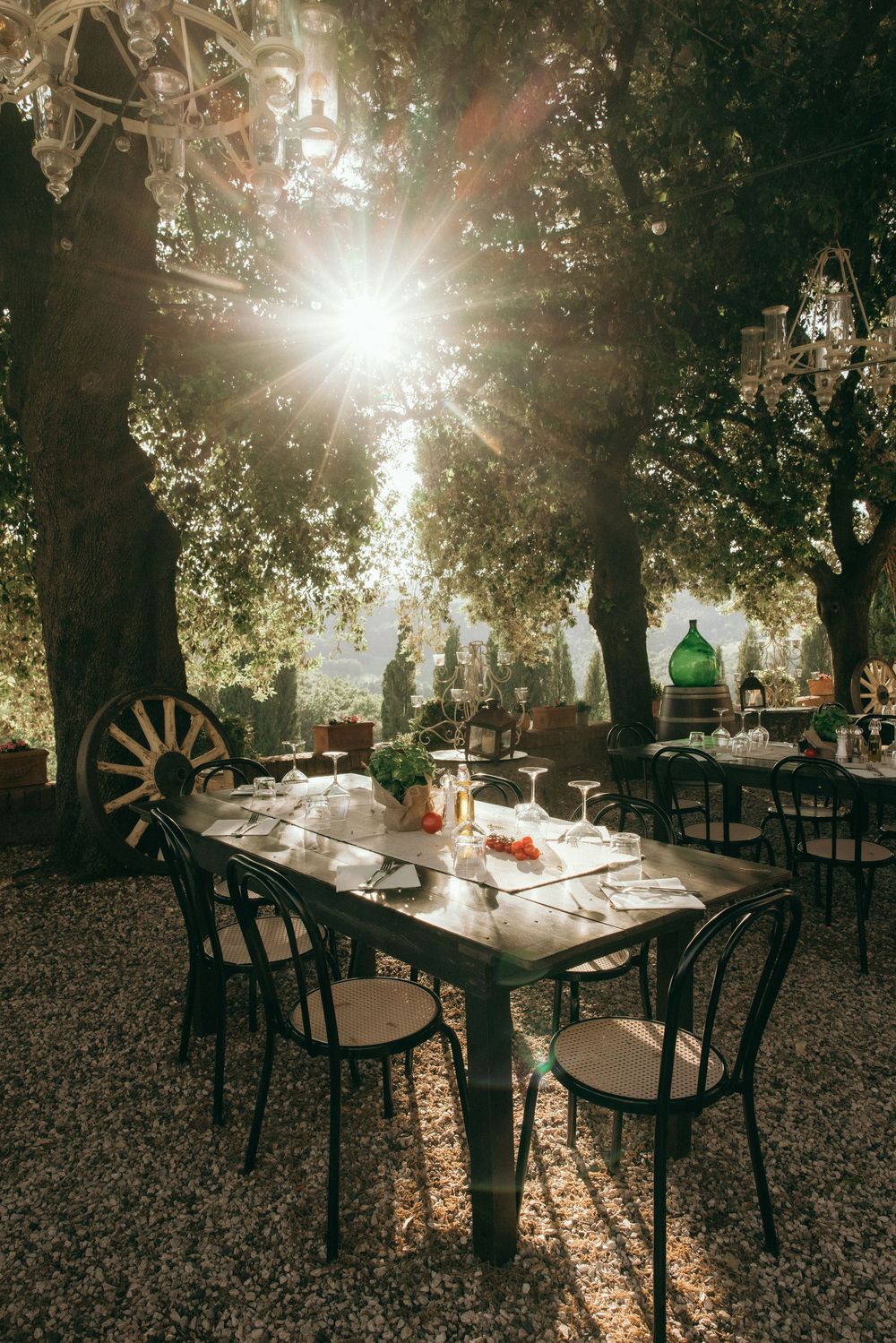 Outdoor dining tables arranged under trees with sunlight streaming through the leaves.