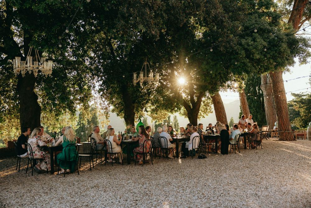 Evening garden party with guests dining under illuminated trees.