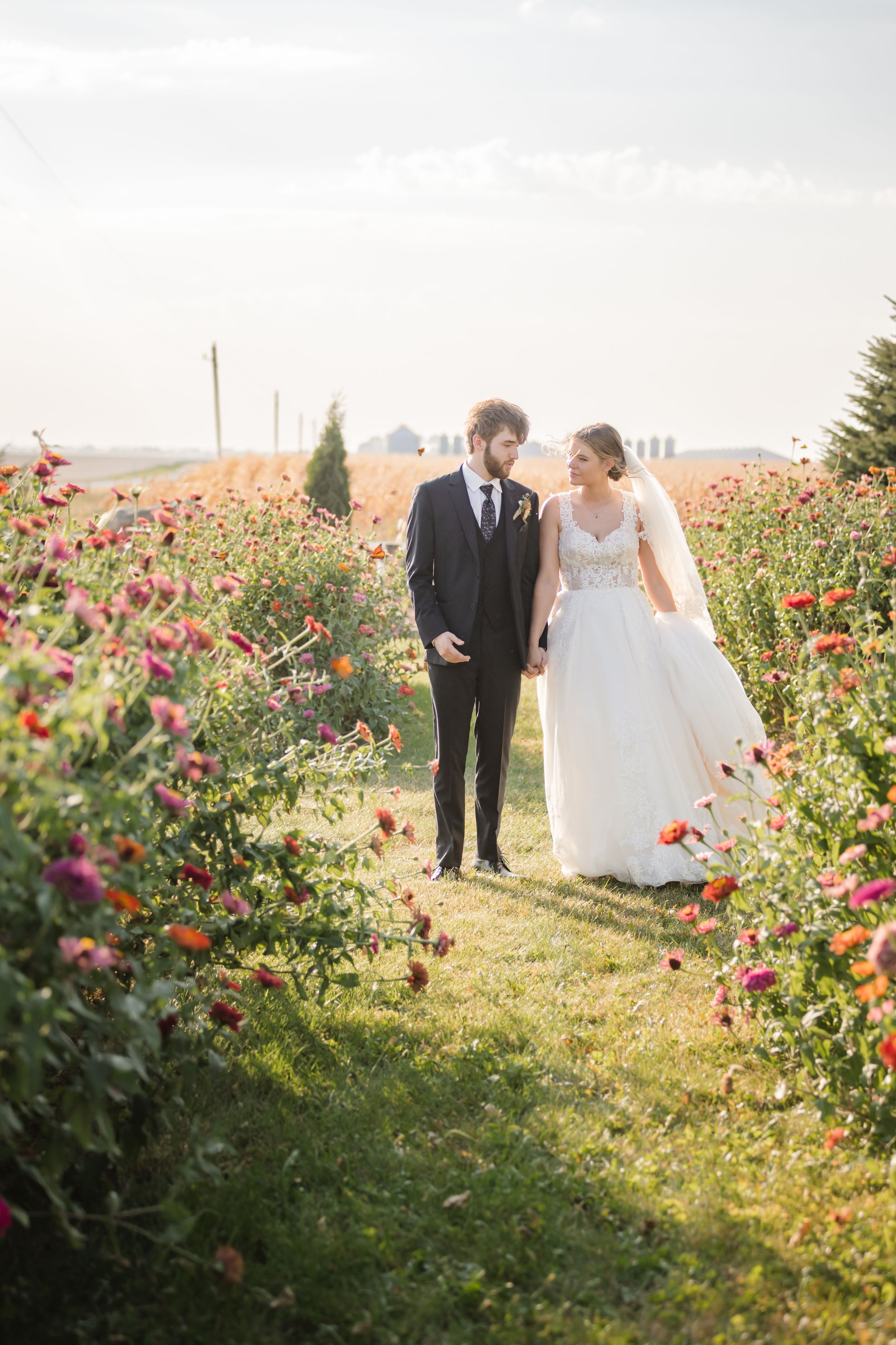 A couple in wedding attire walks through a vibrant flower field at sunset with orange and pink blooms.
