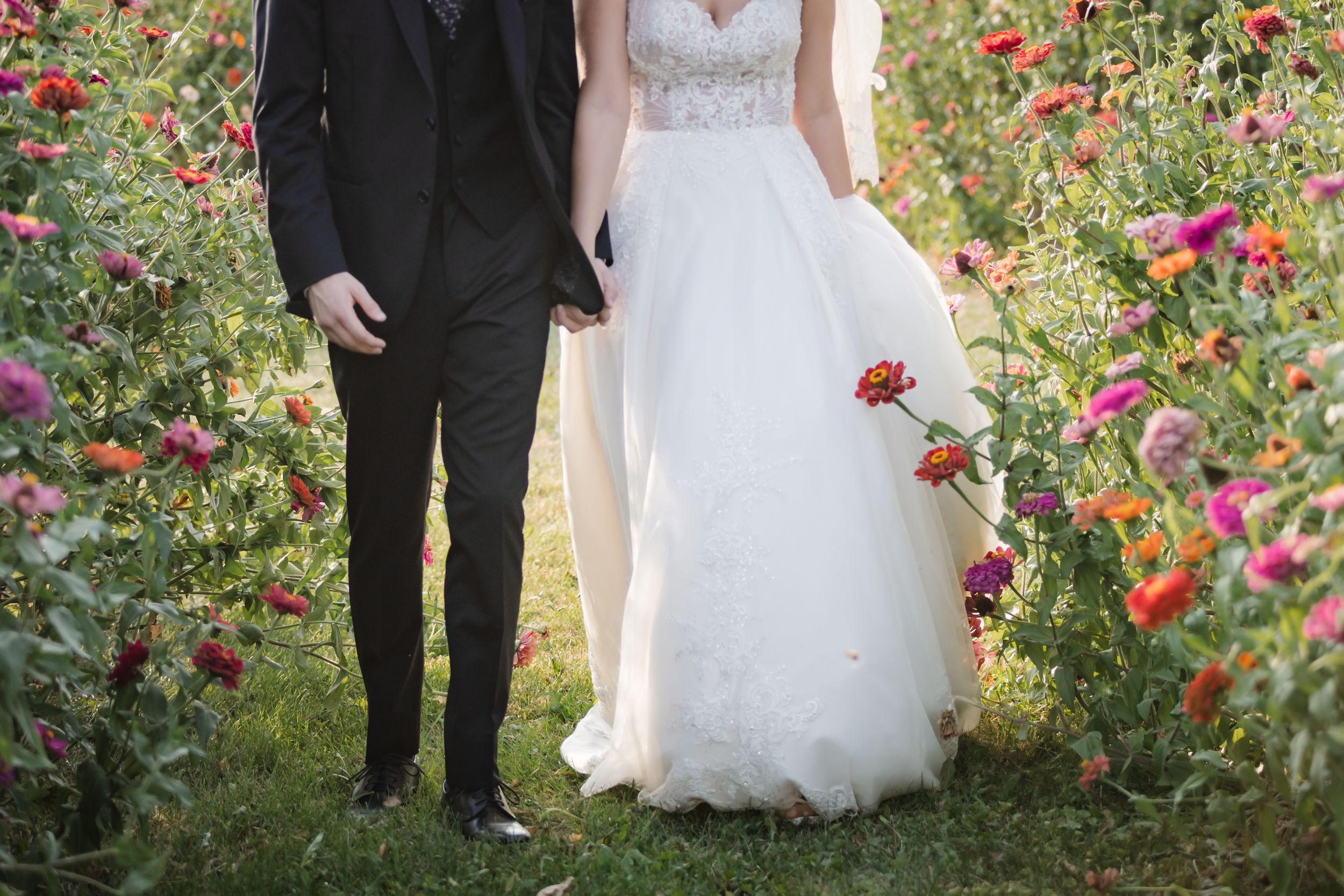 A couple in wedding attire walks through a vibrant garden with blooming red flowers and lush greenery.