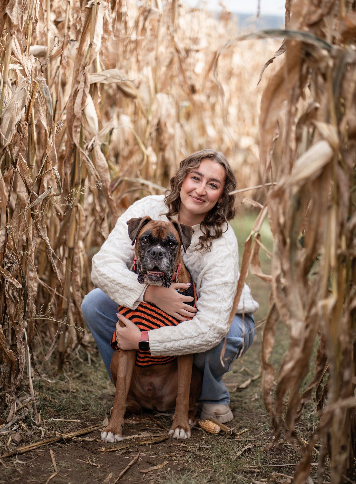 A person in a white sweater poses with a small black and white dog among tall dried corn stalks in a field.