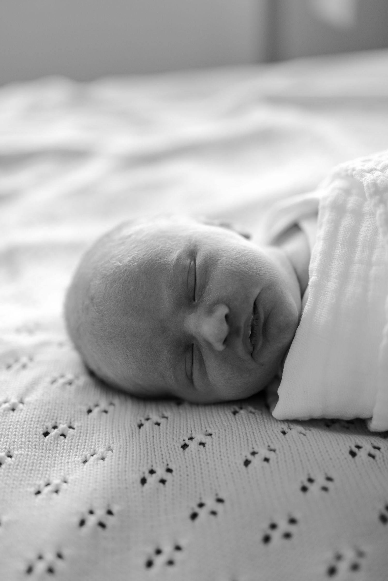 Geelong Lara Torquay Ocean Grove Barwon Heads newborn maternity pregnancy family motherhood couples photographer photography photoshoot