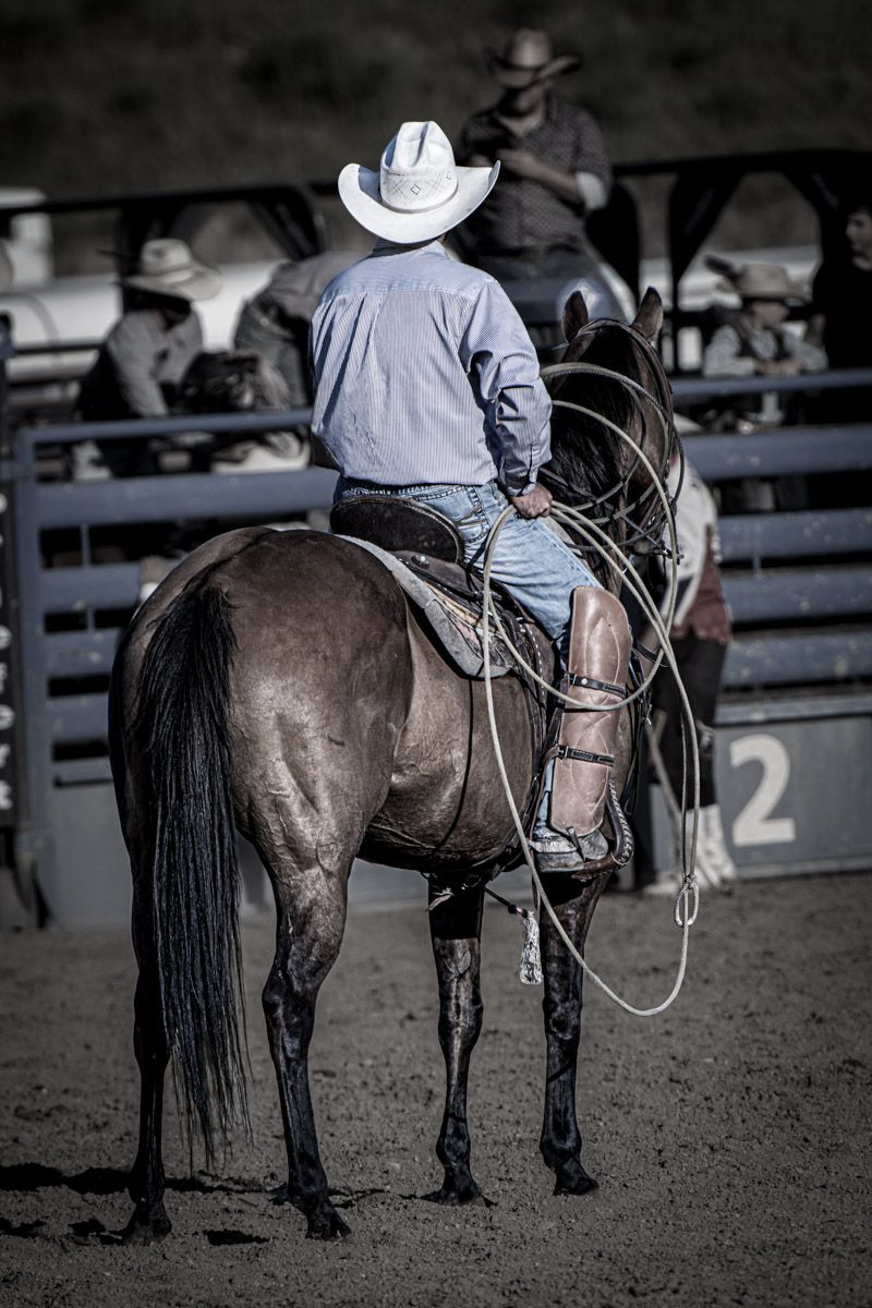 A western rider atop a dark horse at a rodeo event.