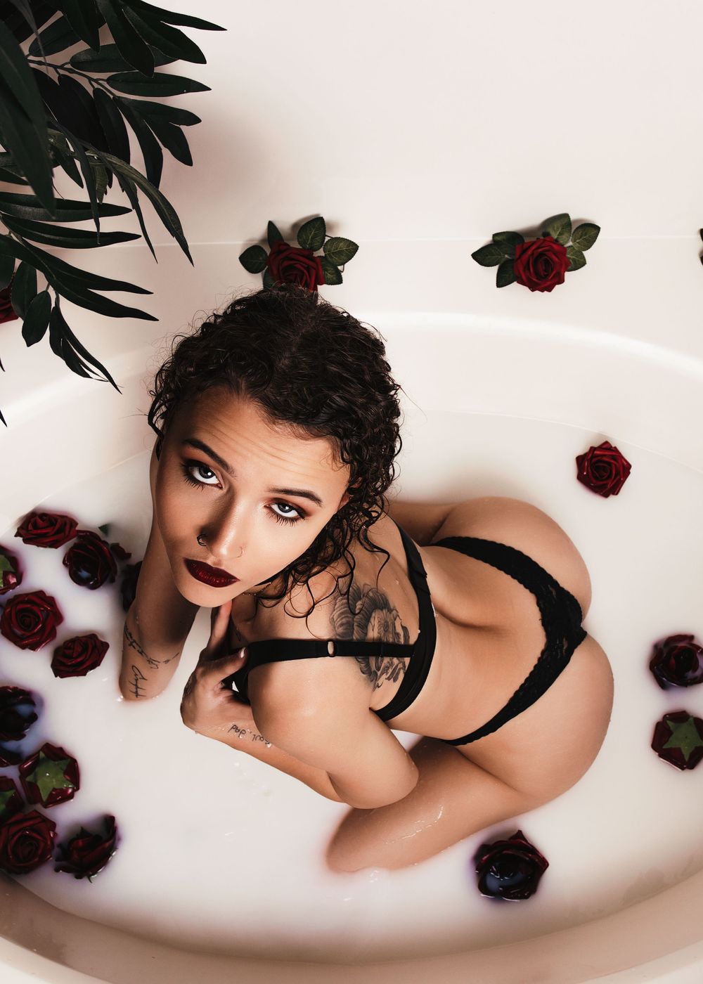 Artistic bathtub photo with dark roses floating in milky water and palm leaves visible in the corner.