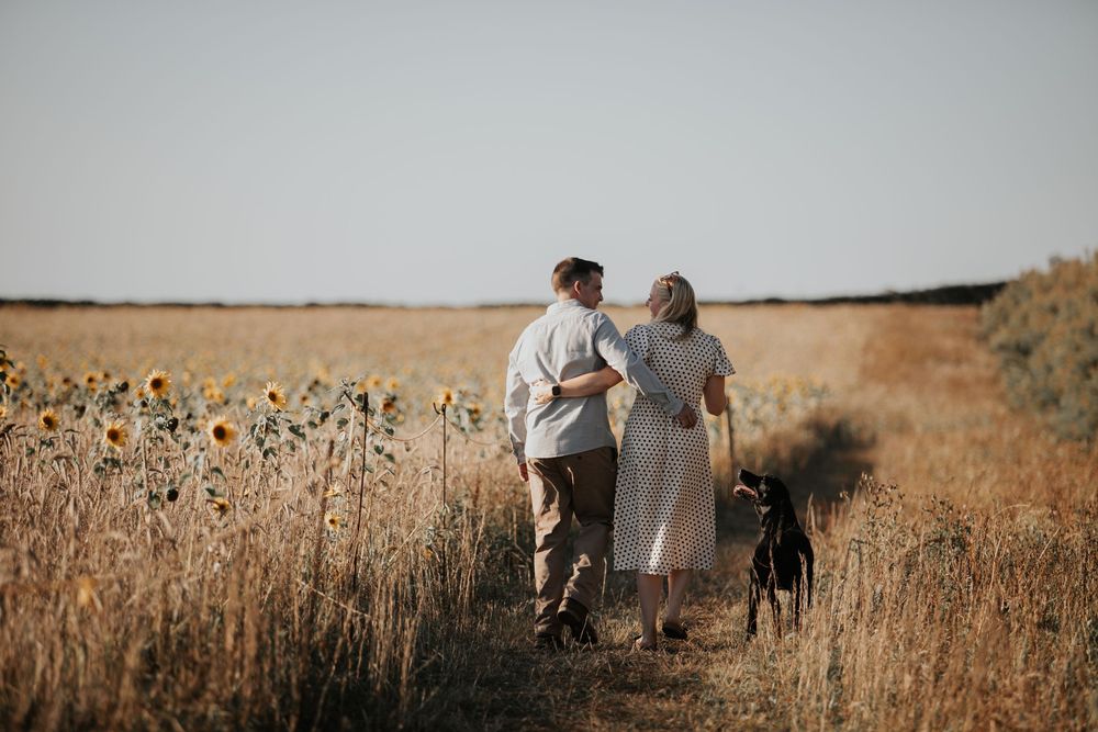 Couple walking arm-in-arm with their black dog along a sunflower field path at sunset.