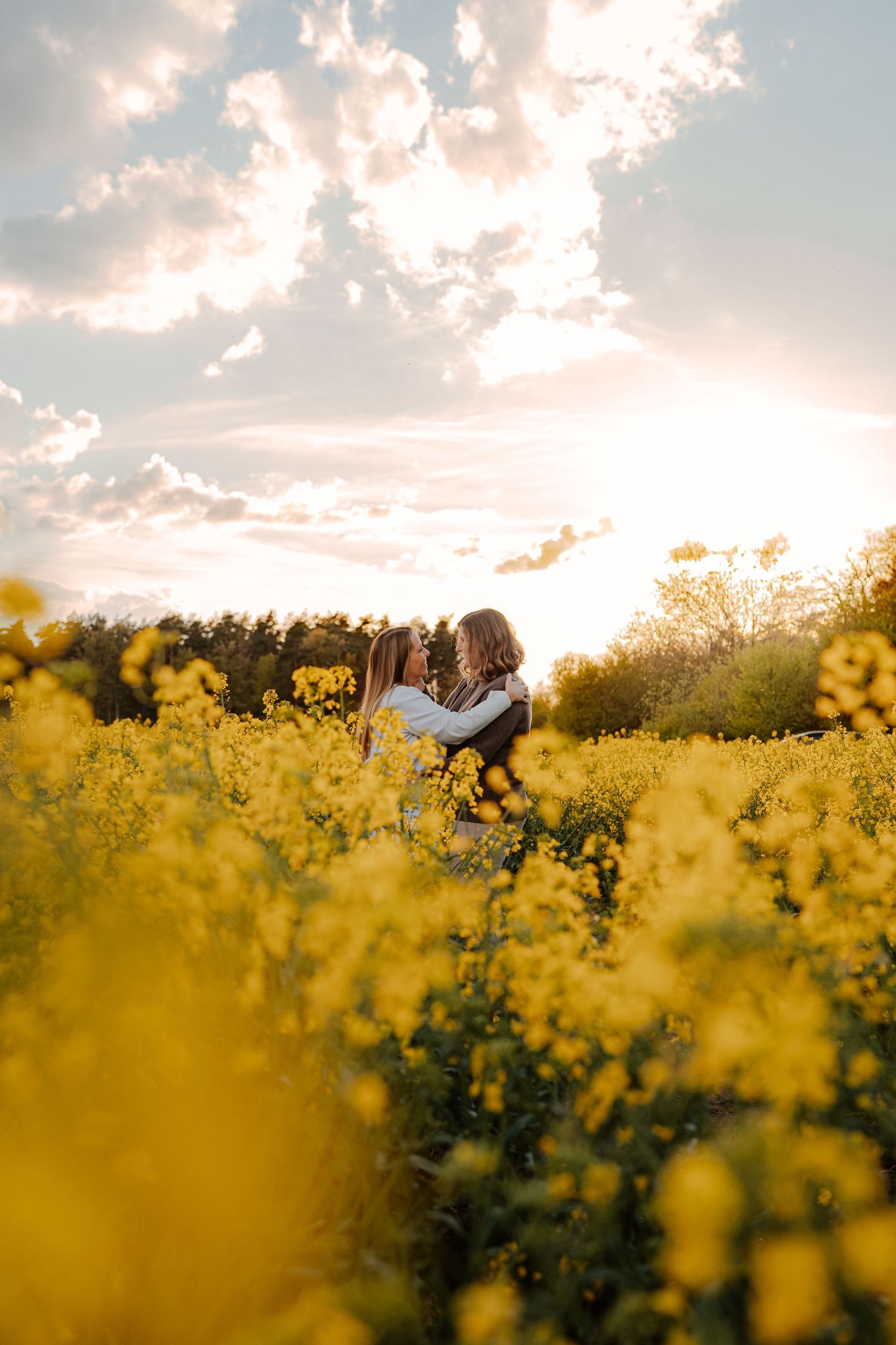 Couple embracing in a vibrant yellow rapeseed flower field at golden sunset with dramatic cloudy sky.