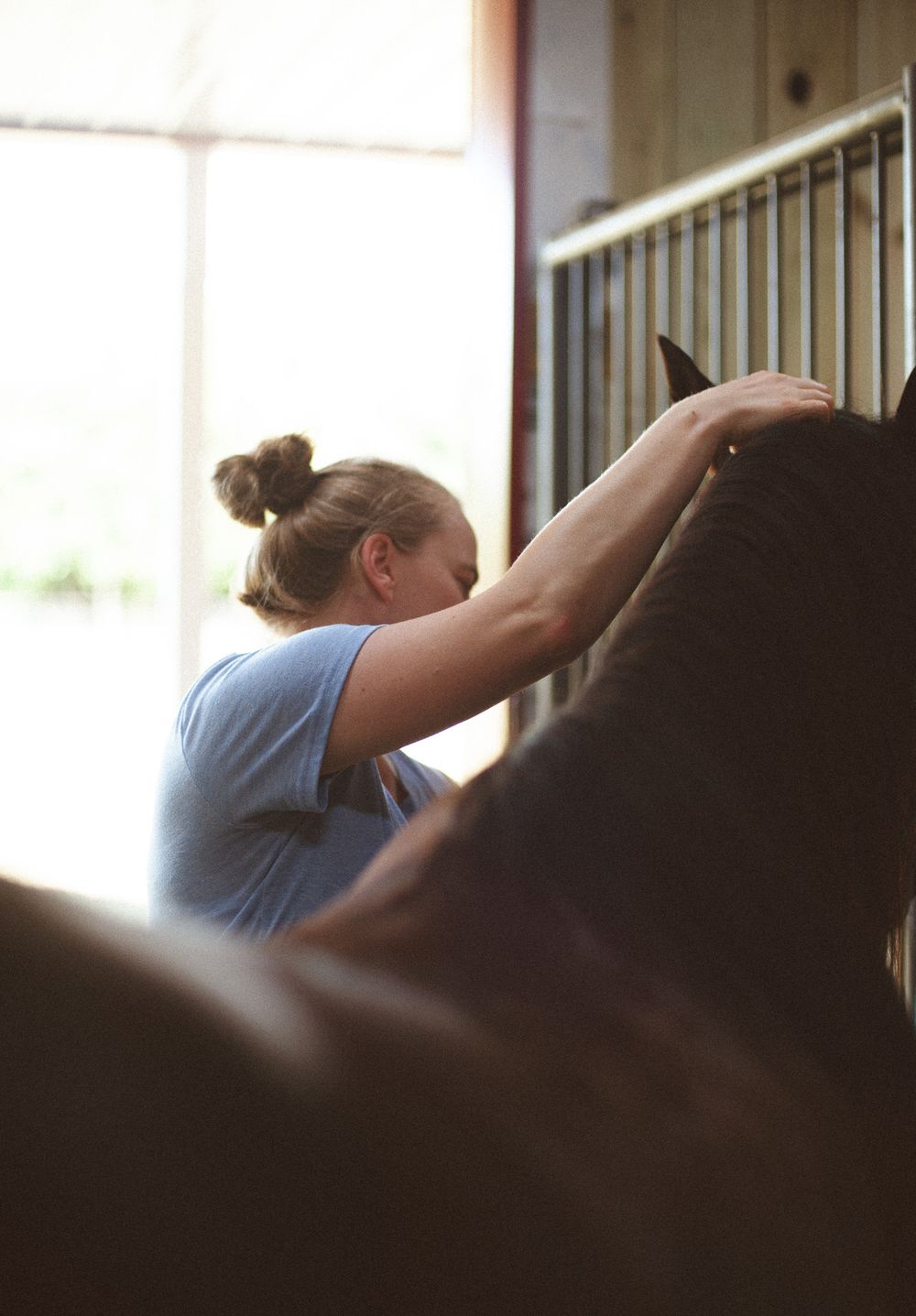 Person examines a brown horse in a stable through metal bars, wearing a light blue shirt.