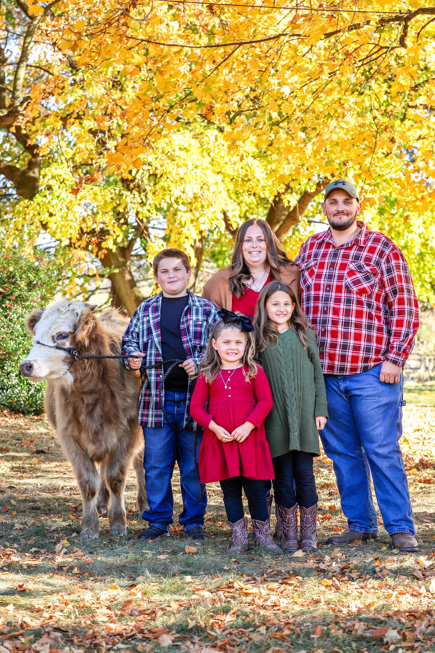 A group stands together under vibrant yellow fall foliage with their brown llama on a crisp autumn day.