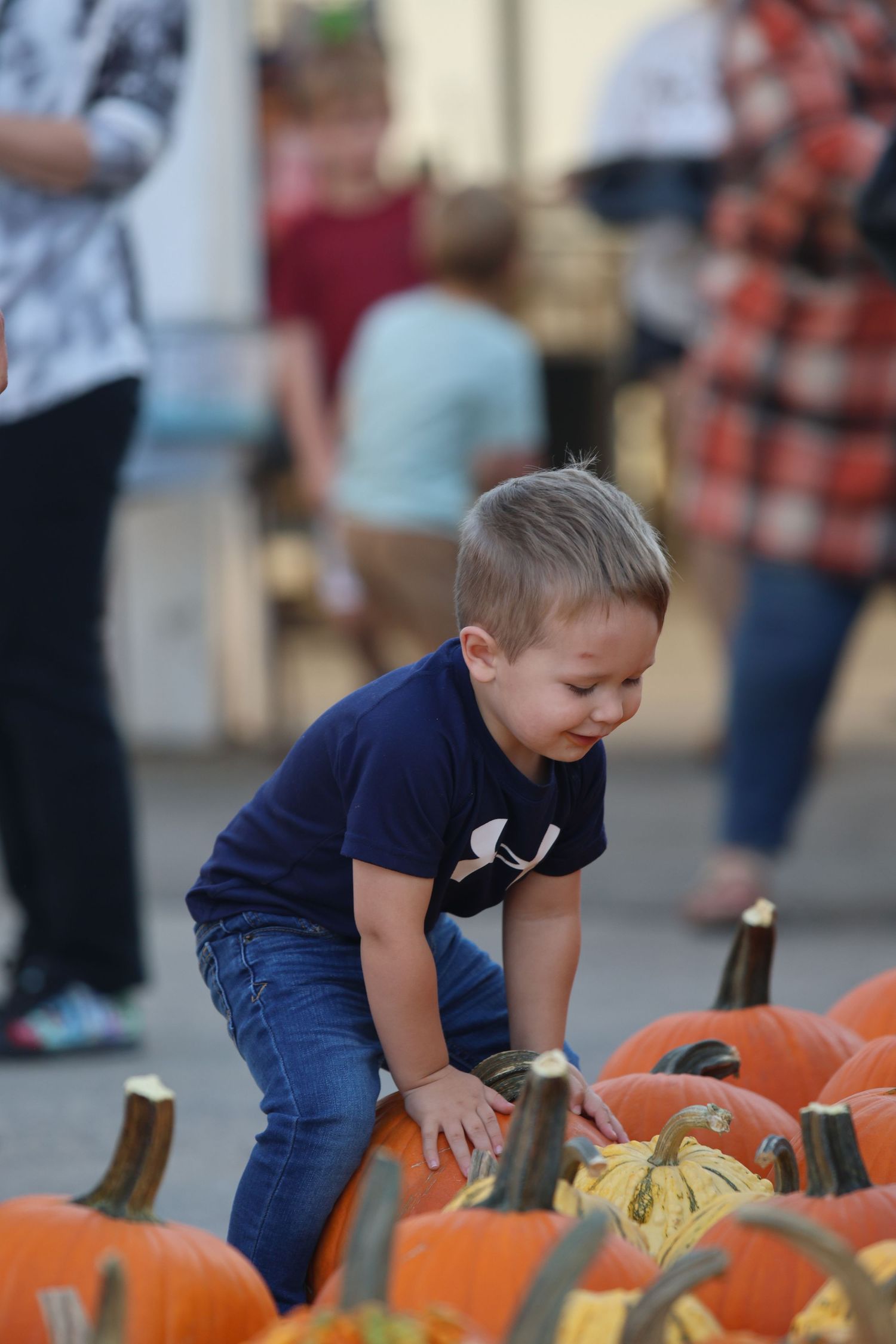 Young child exploring pumpkins at fall harvest display.