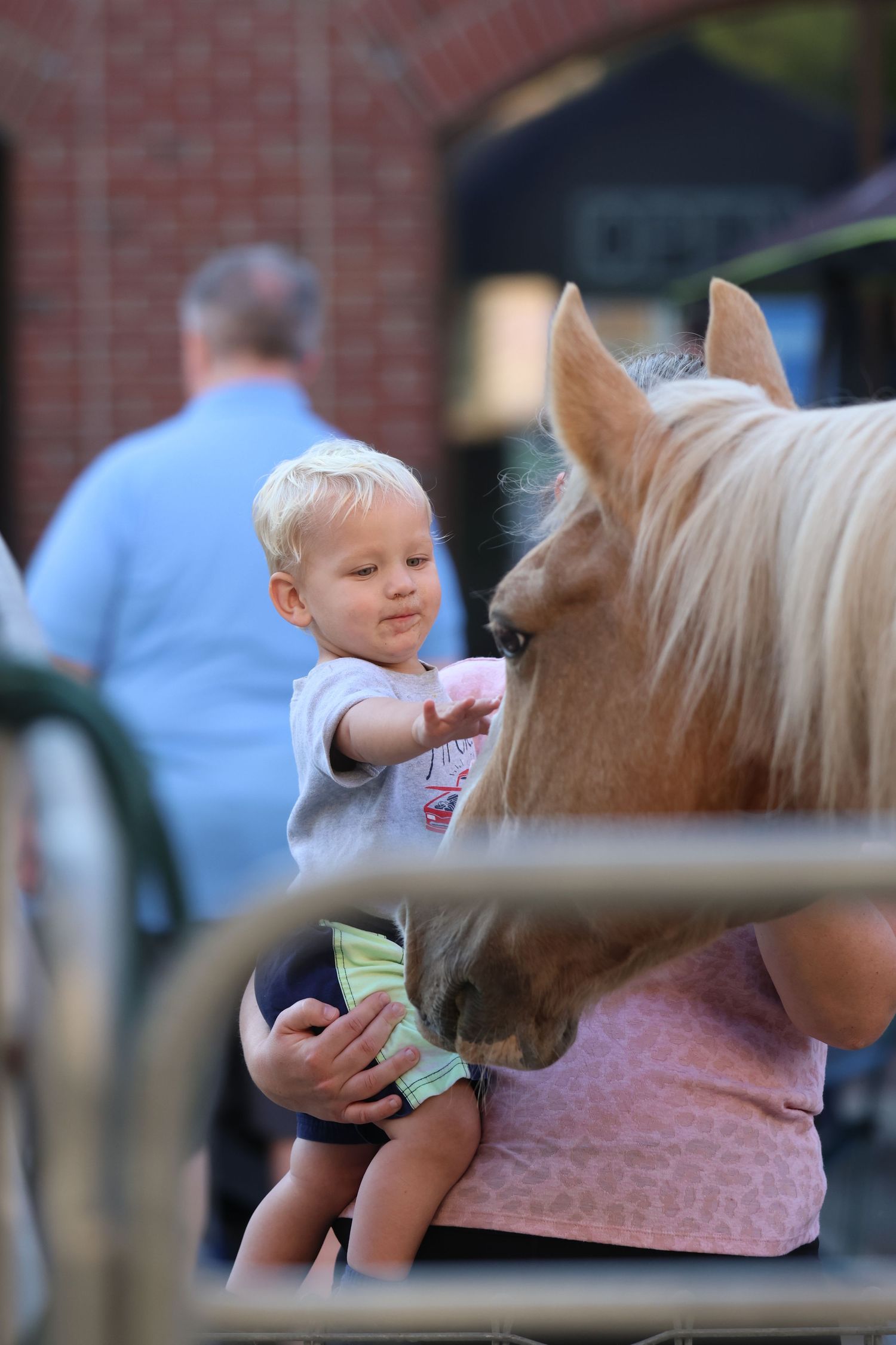 A gentle horse meeting a young child at an outdoor event.