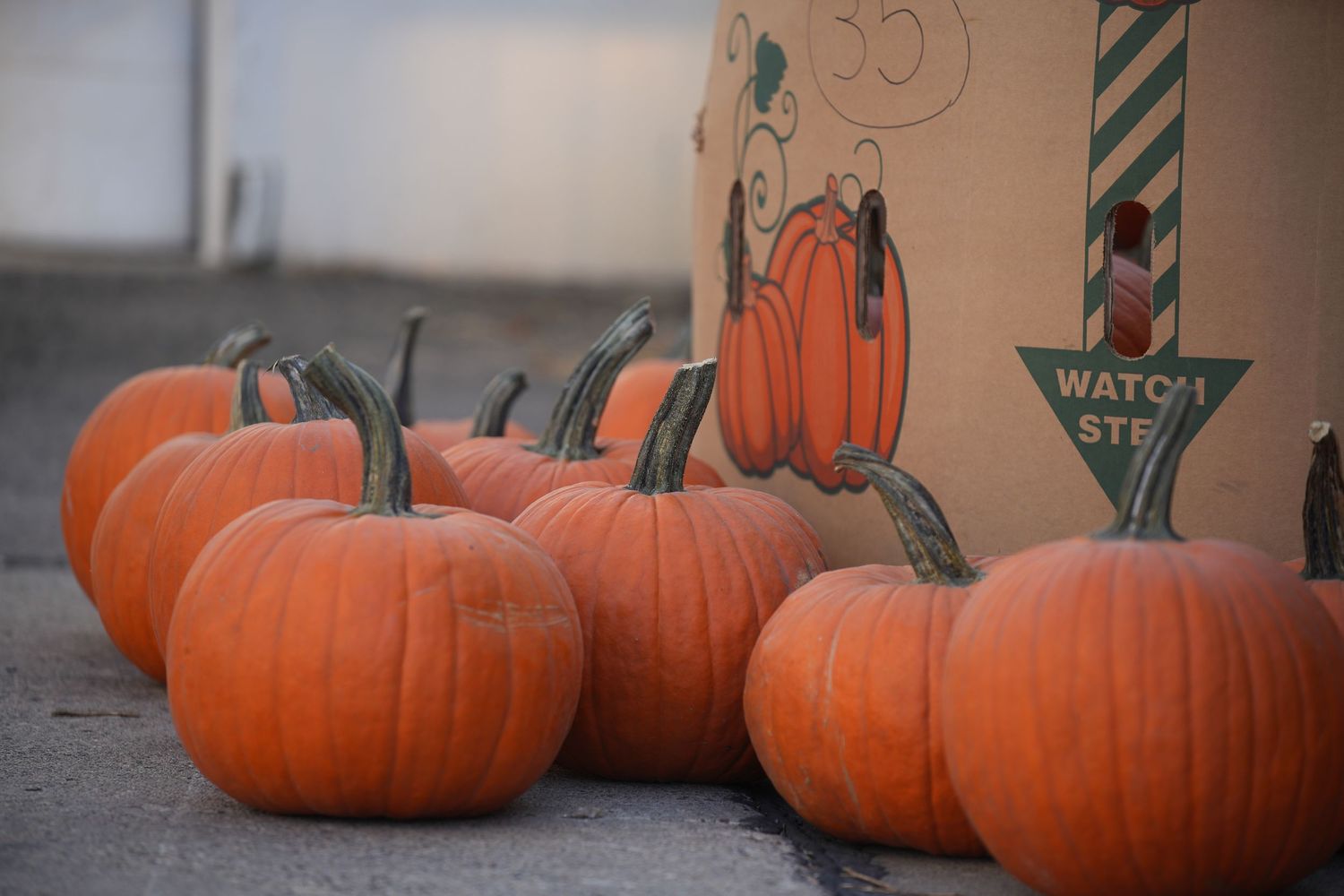 Orange pumpkins lined up in a row on a wooden surface for seasonal fall display.