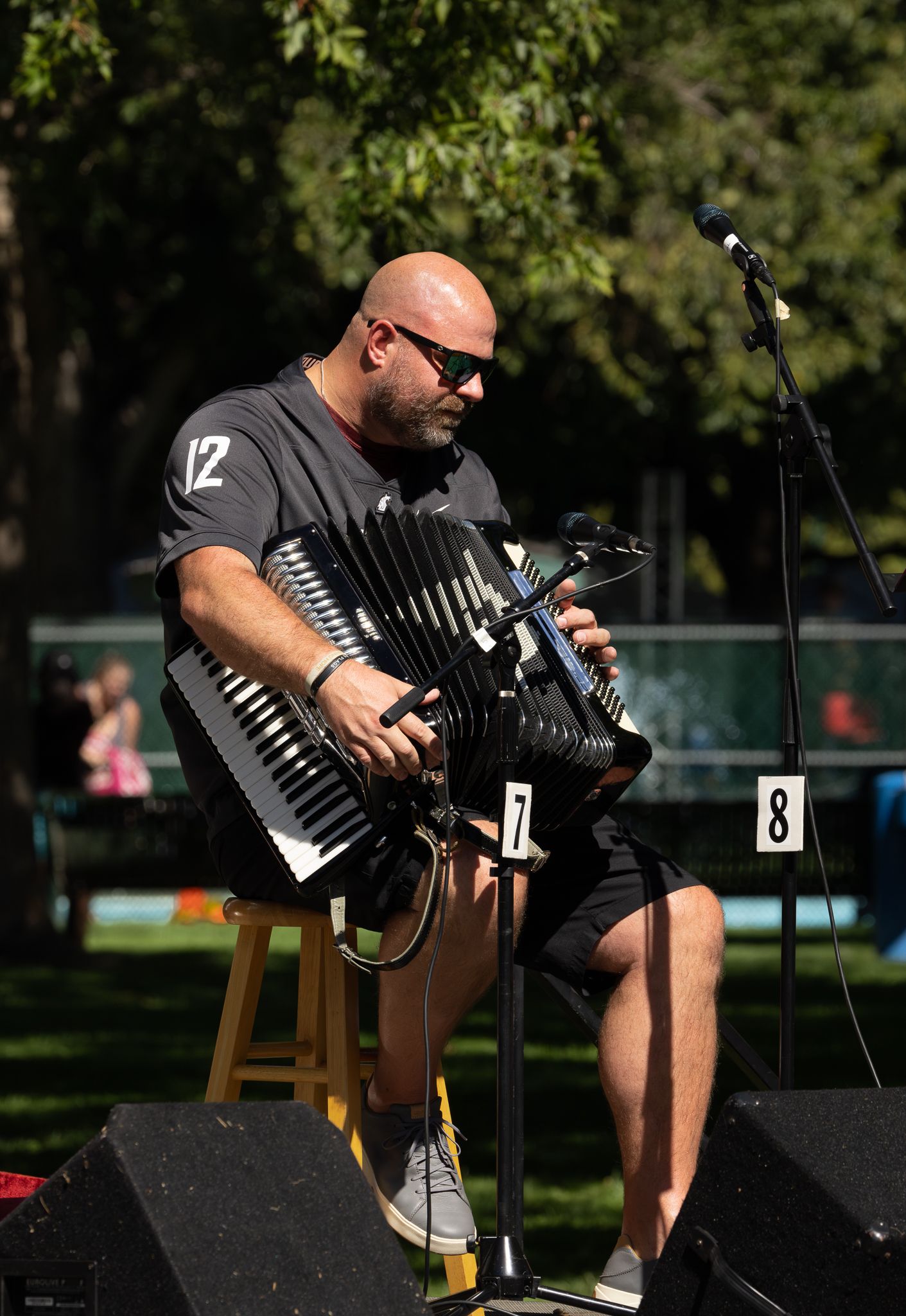 A lone accordion player, dressed in black with his sunglasses on, performs on stage at an outdoor music festival, surrounded by trees.