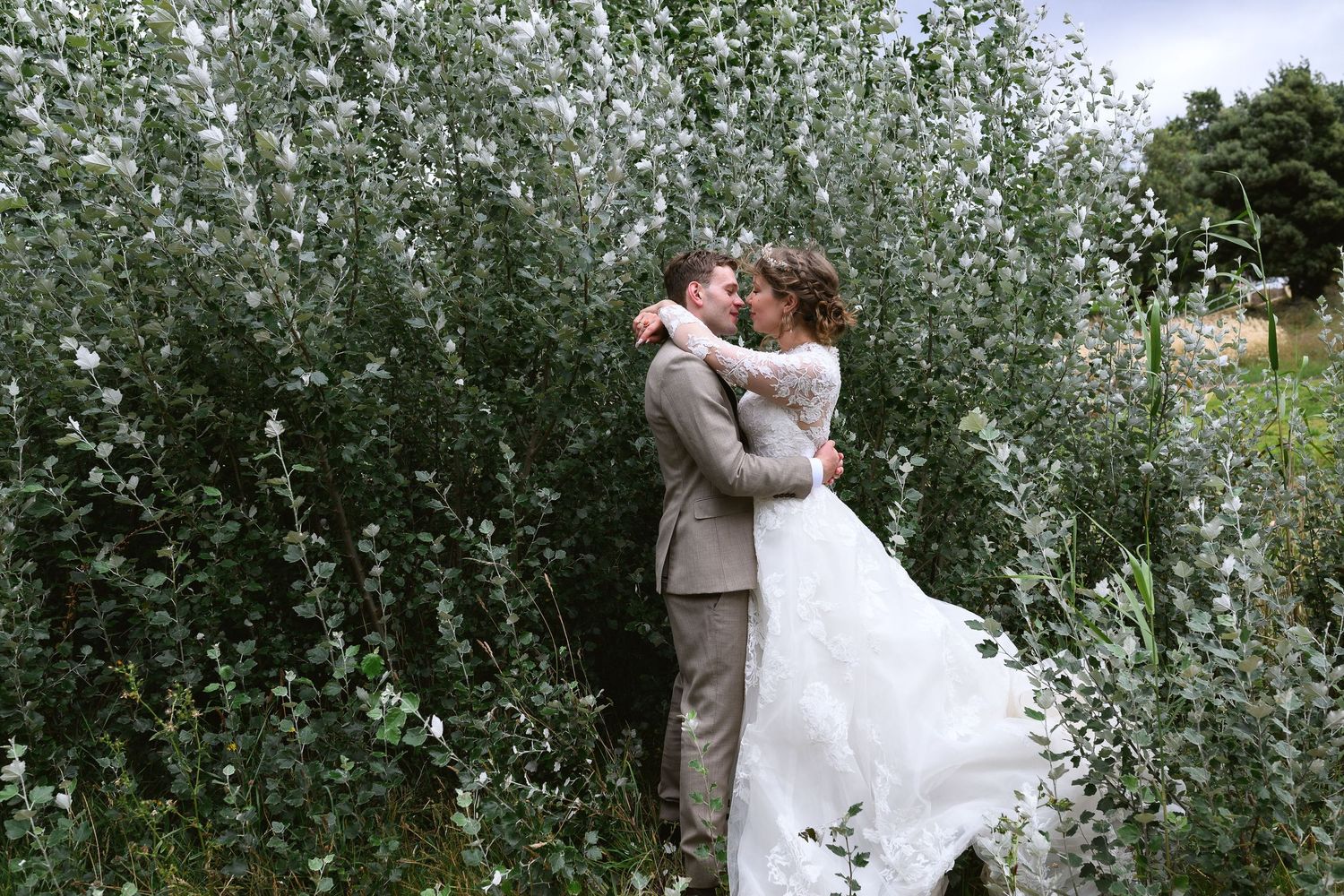 A romantic moment captured between newlyweds embracing in a garden surrounded by lush silver-green foliage on their wedding day.
