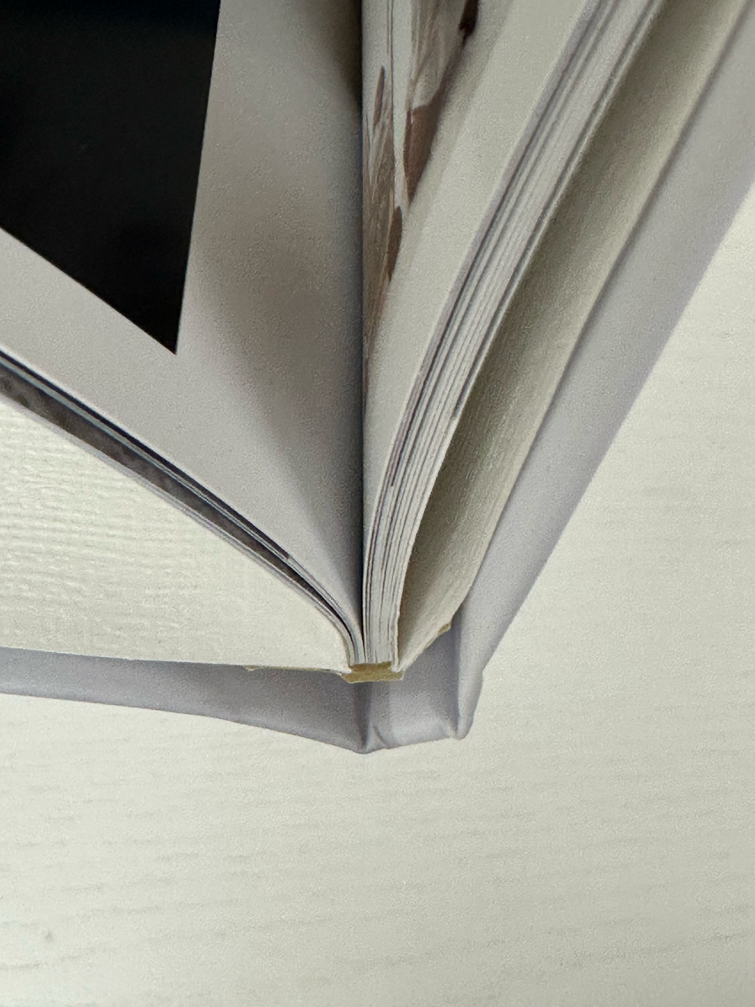 Close-up of a hardcover book spine showing neat binding and pages on a white surface. Photo book