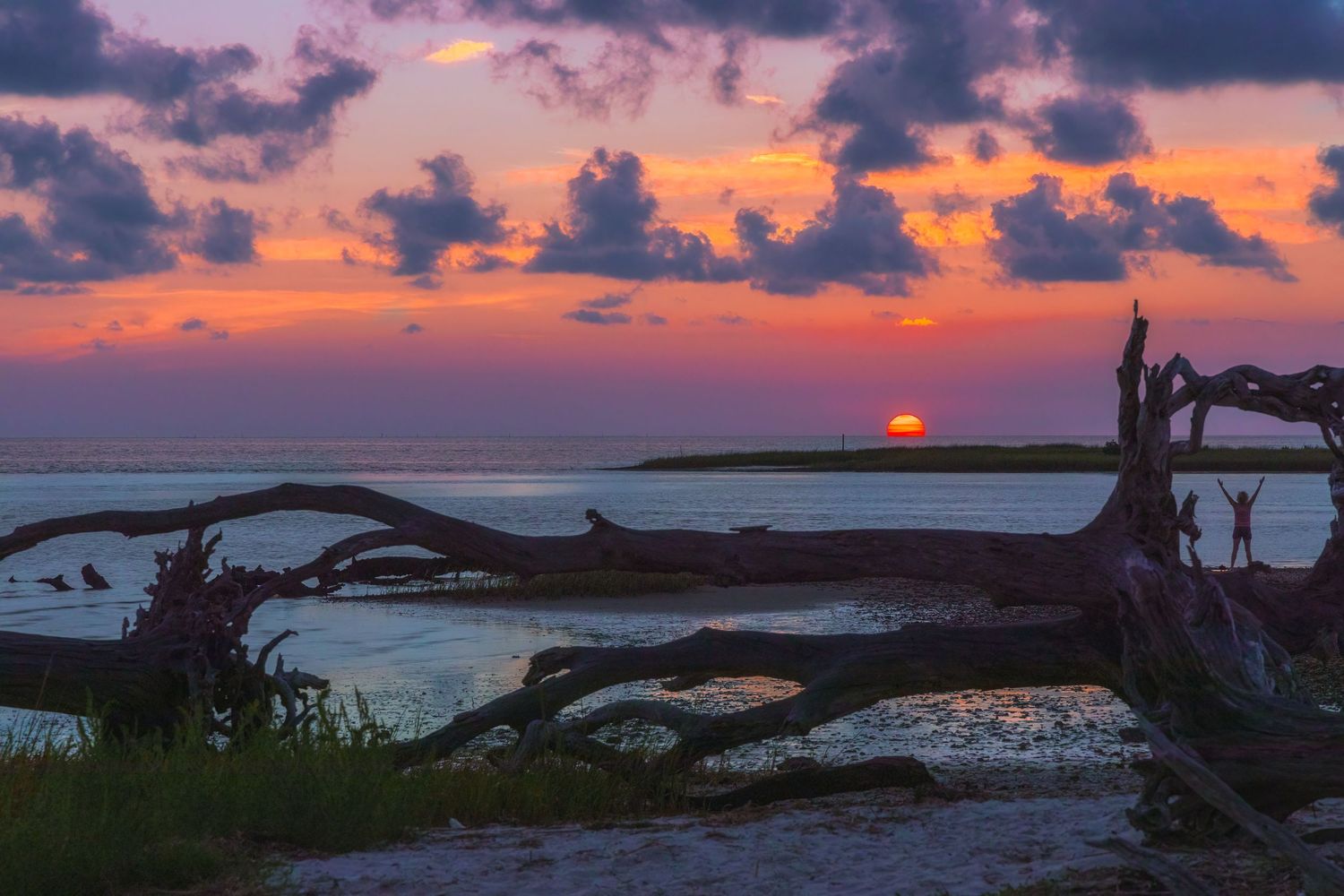 Weathered driftwood frames a vibrant orange sunset over calm coastal waters.