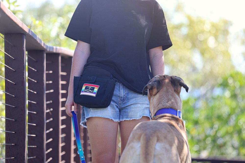 A person wearing denim shorts walks along a wooden bridge railing with their dog on a leash.