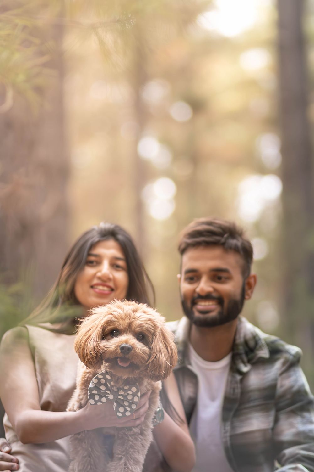 A smiling couple holds an adorable brown poodle dog in a sunlit forest setting.